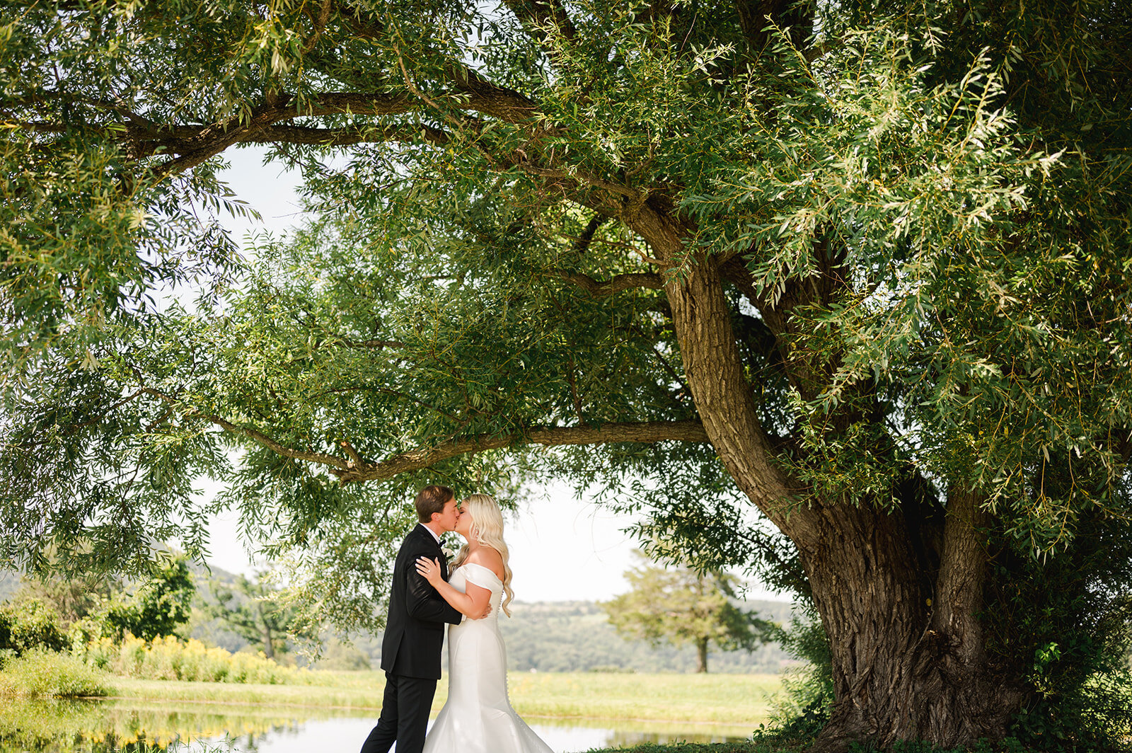 bride-groom-kiss-tree