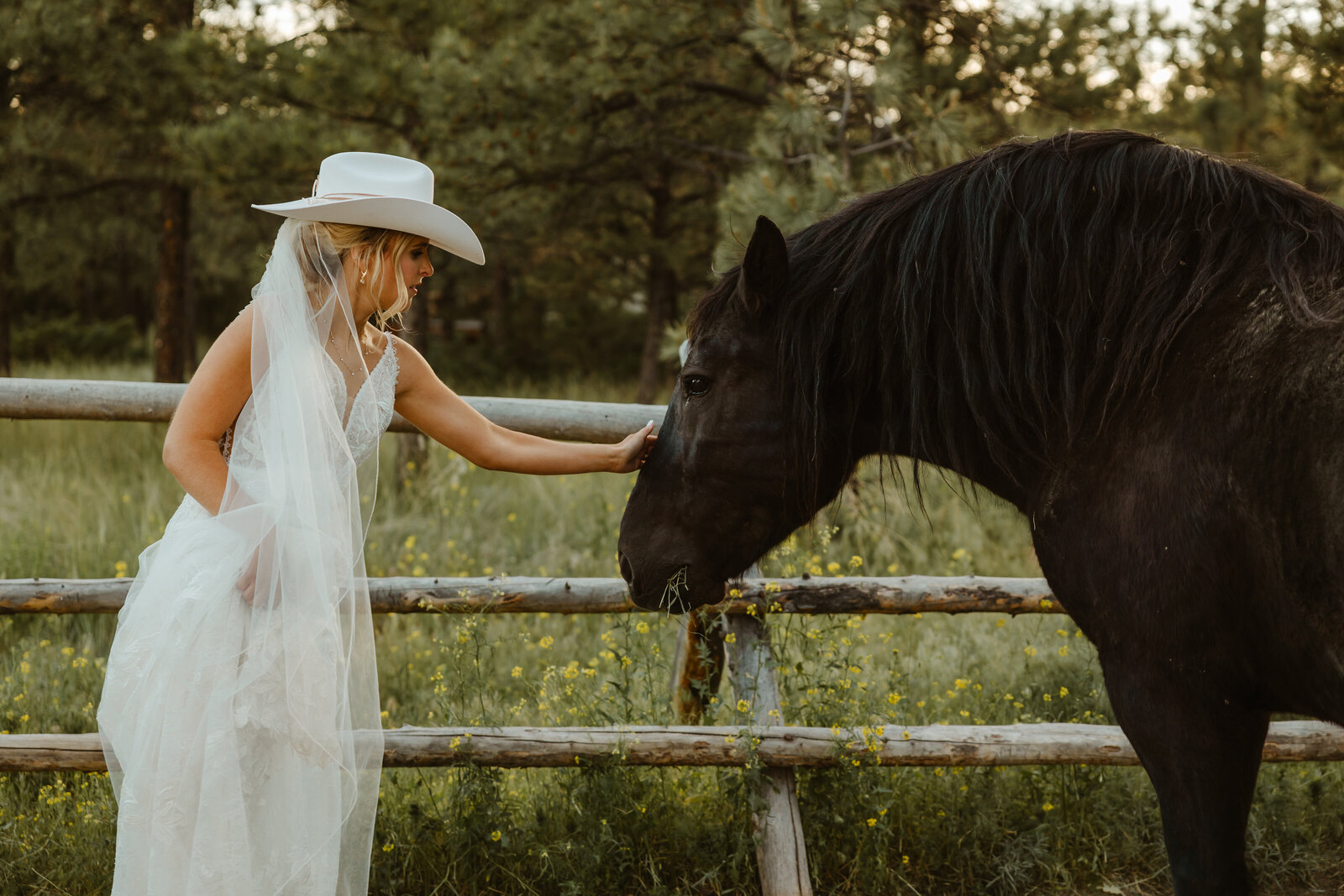 Winston-Salem North Carolina Wedding Photographer-14-2