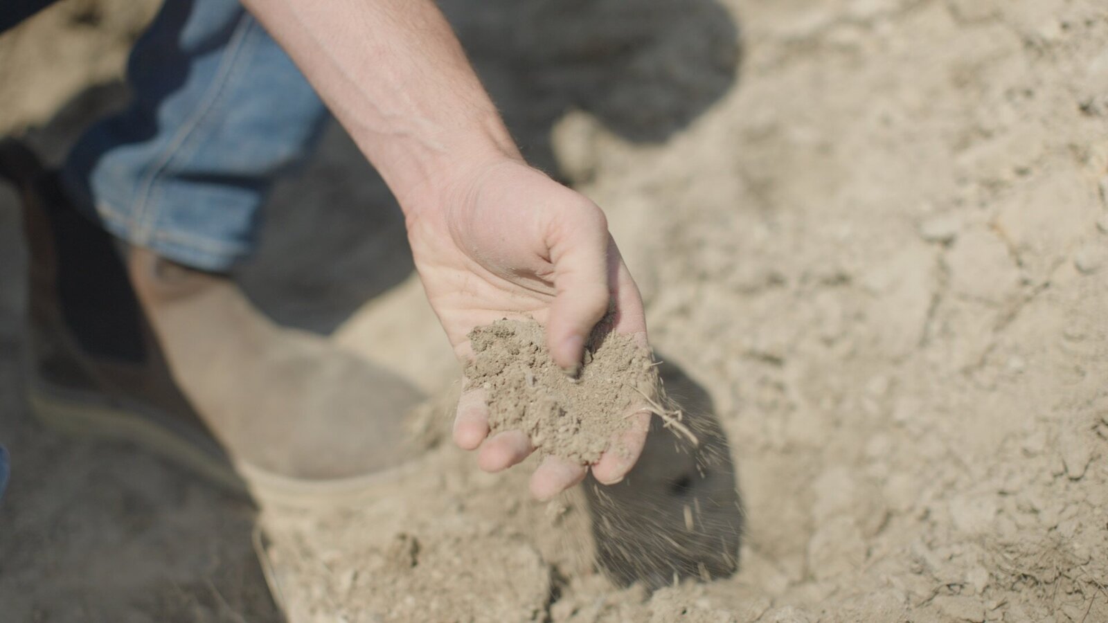 dig in to our projects