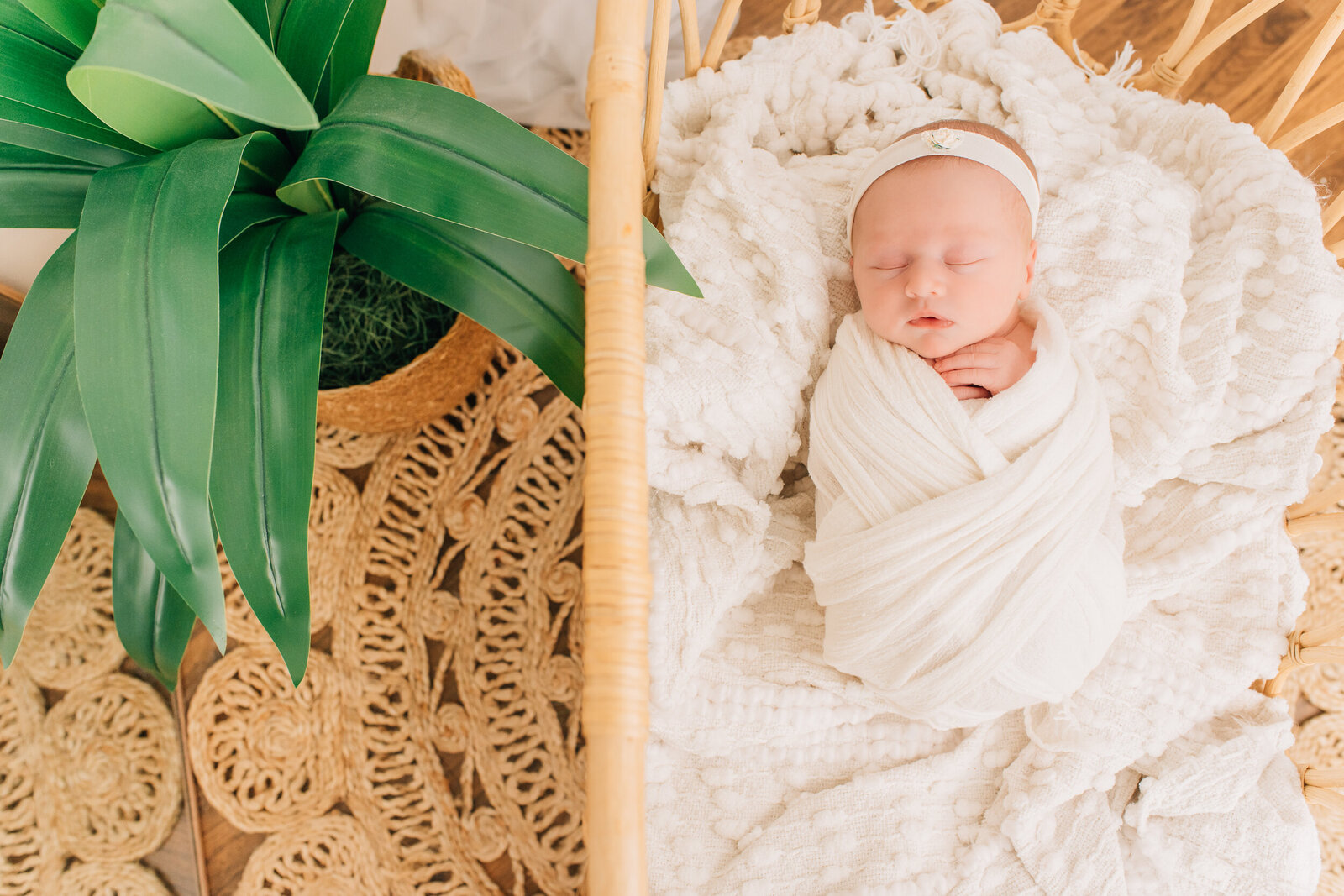 Sharon Leger Photography | Canton CT Newborn and Family Photographer -1