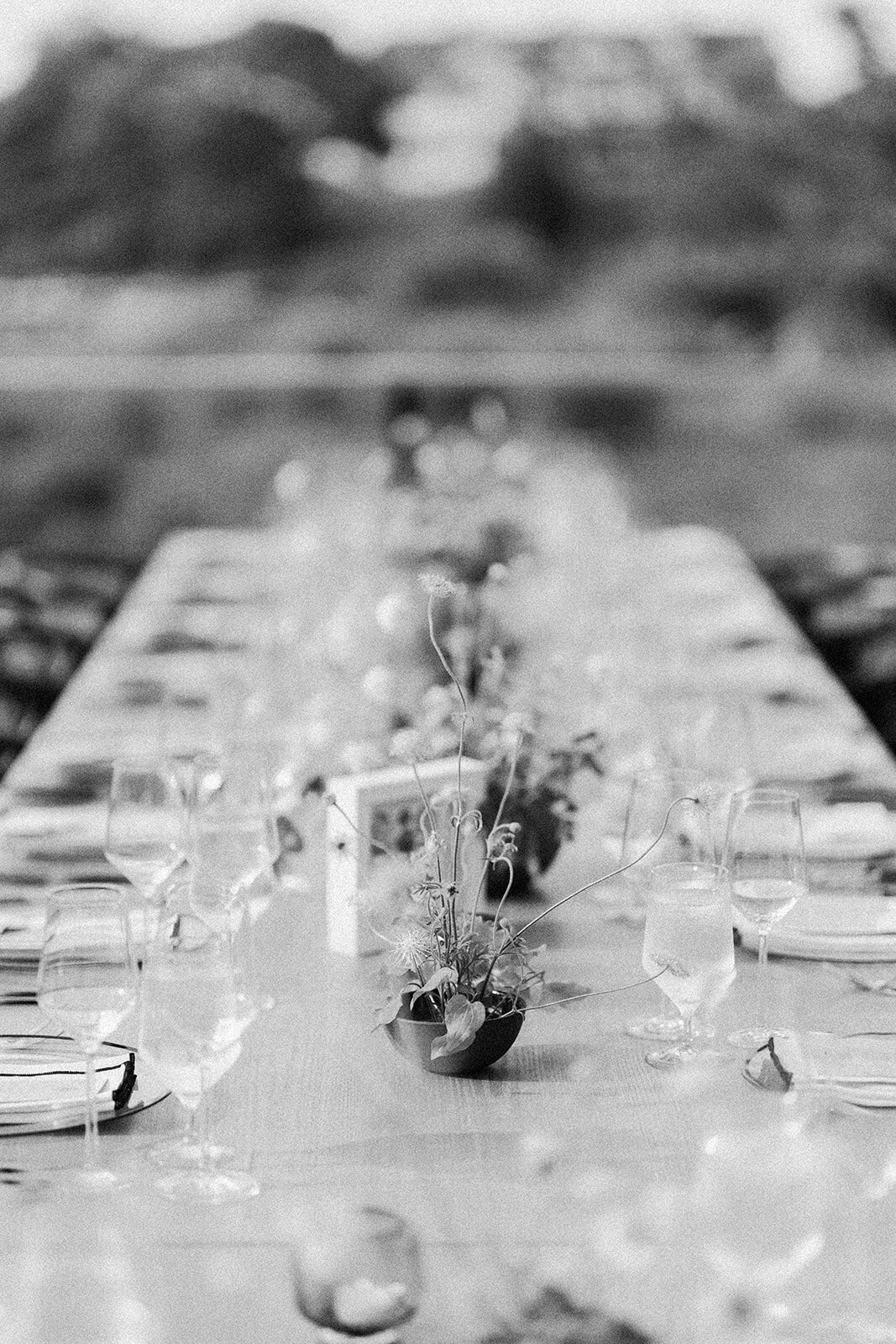EmilyAlexDetails075