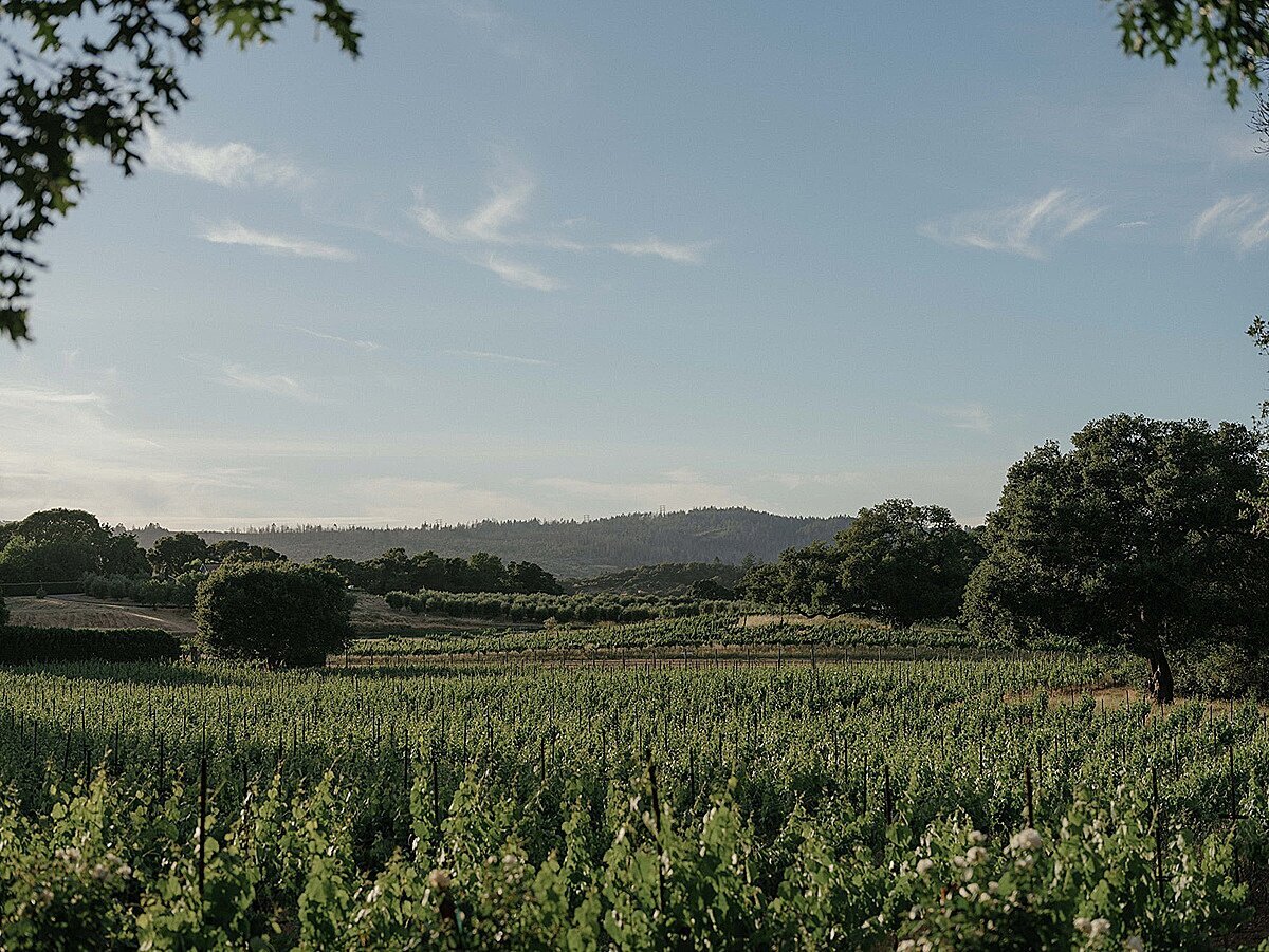 sonoma-vineyard-estate-wedding-0137