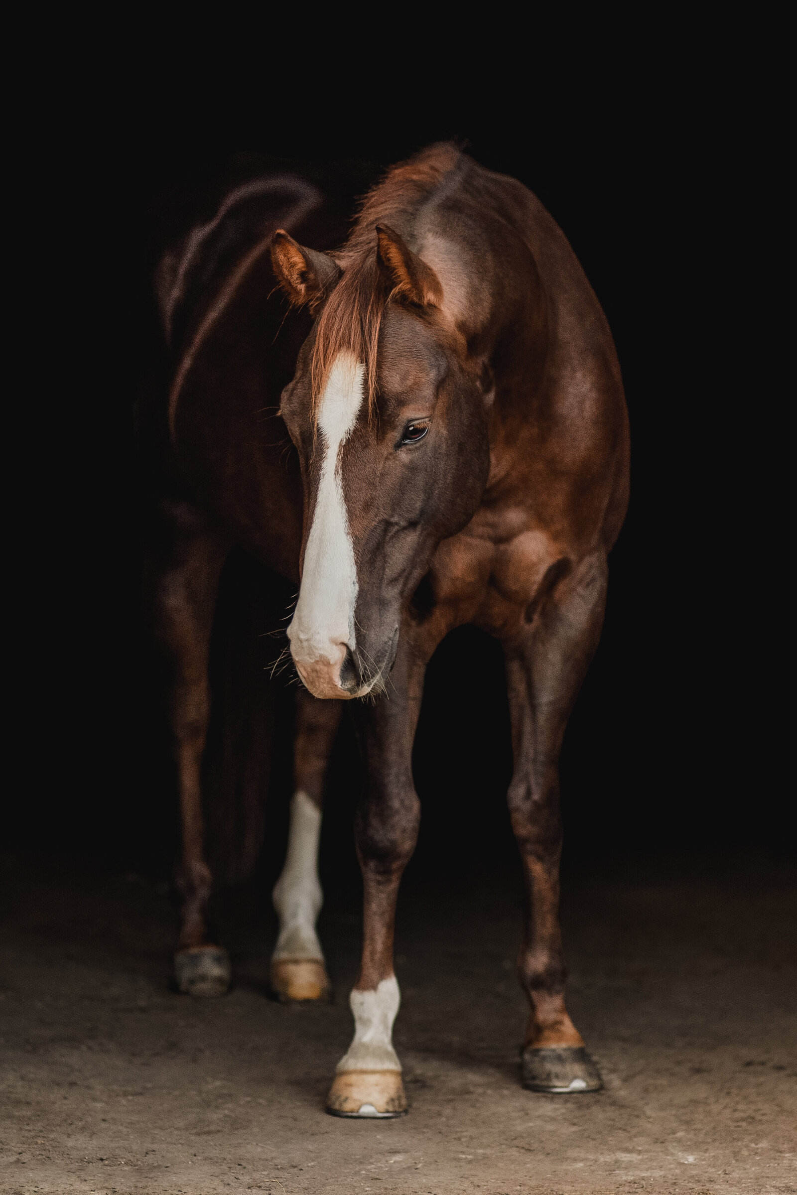 _MG_8622-Edit