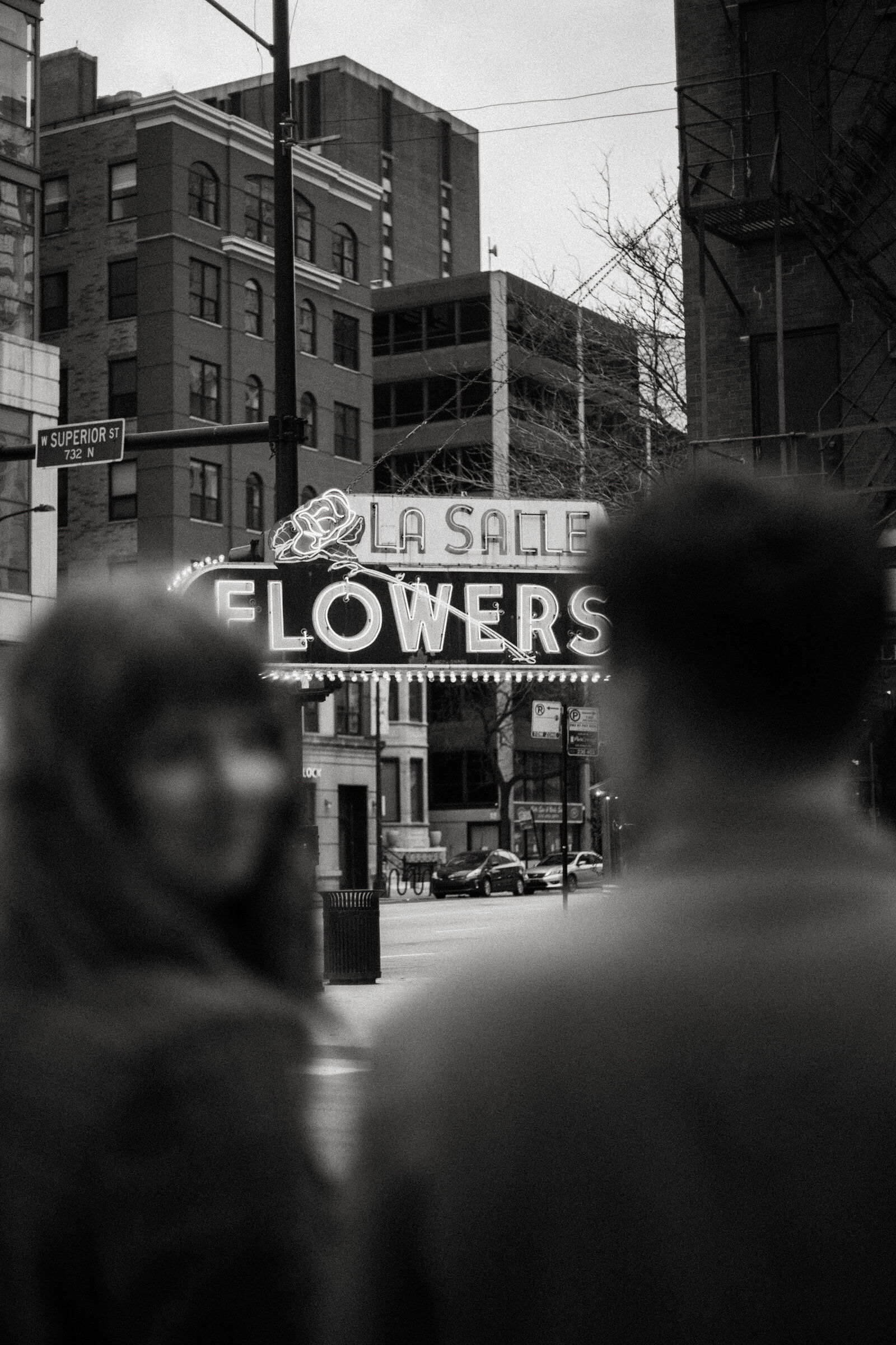 Chicago Engagement Photos-79