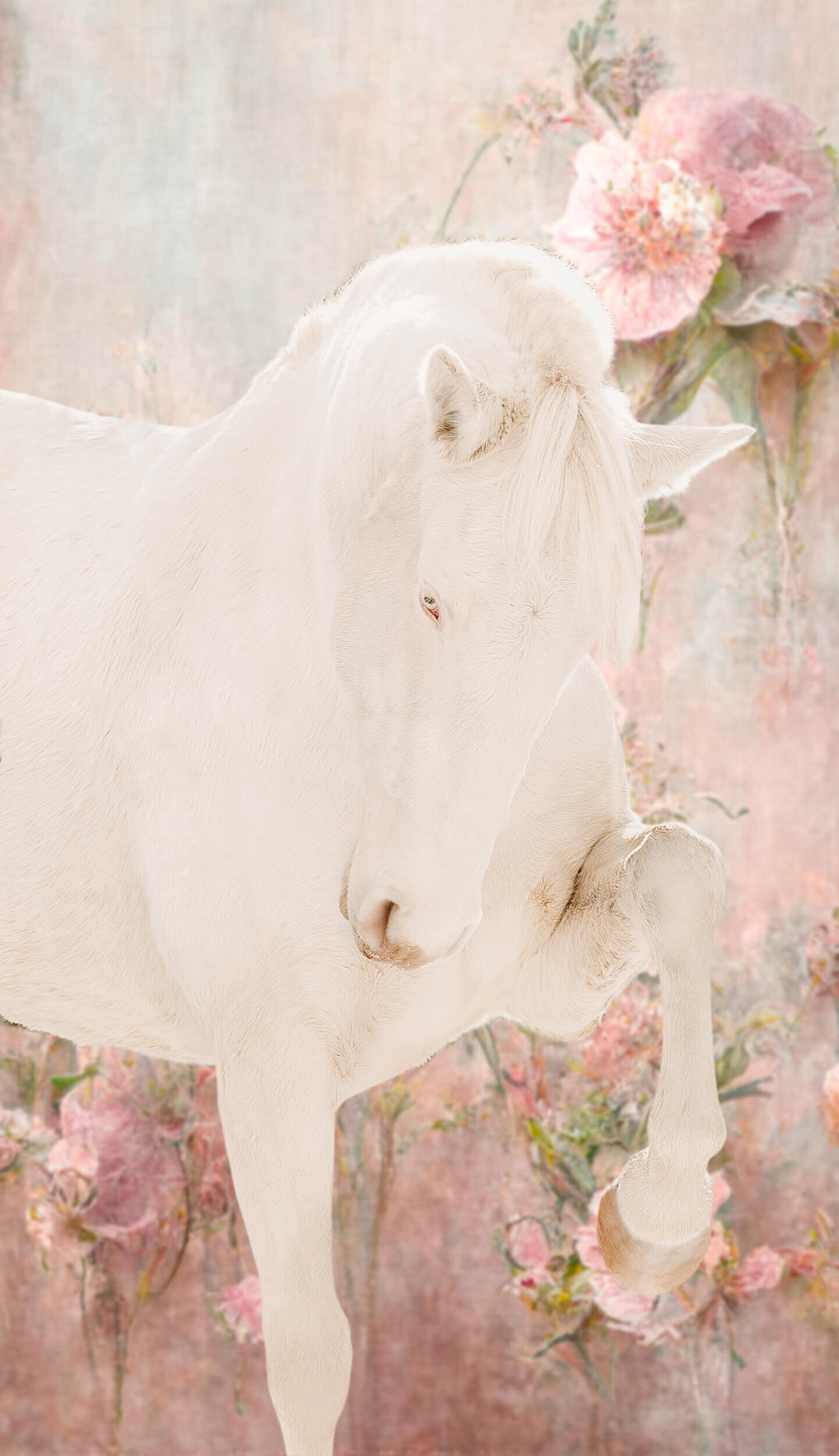 Download Unicorn Purple Pink RoyaltyFree Stock Illustration Image  Pixabay