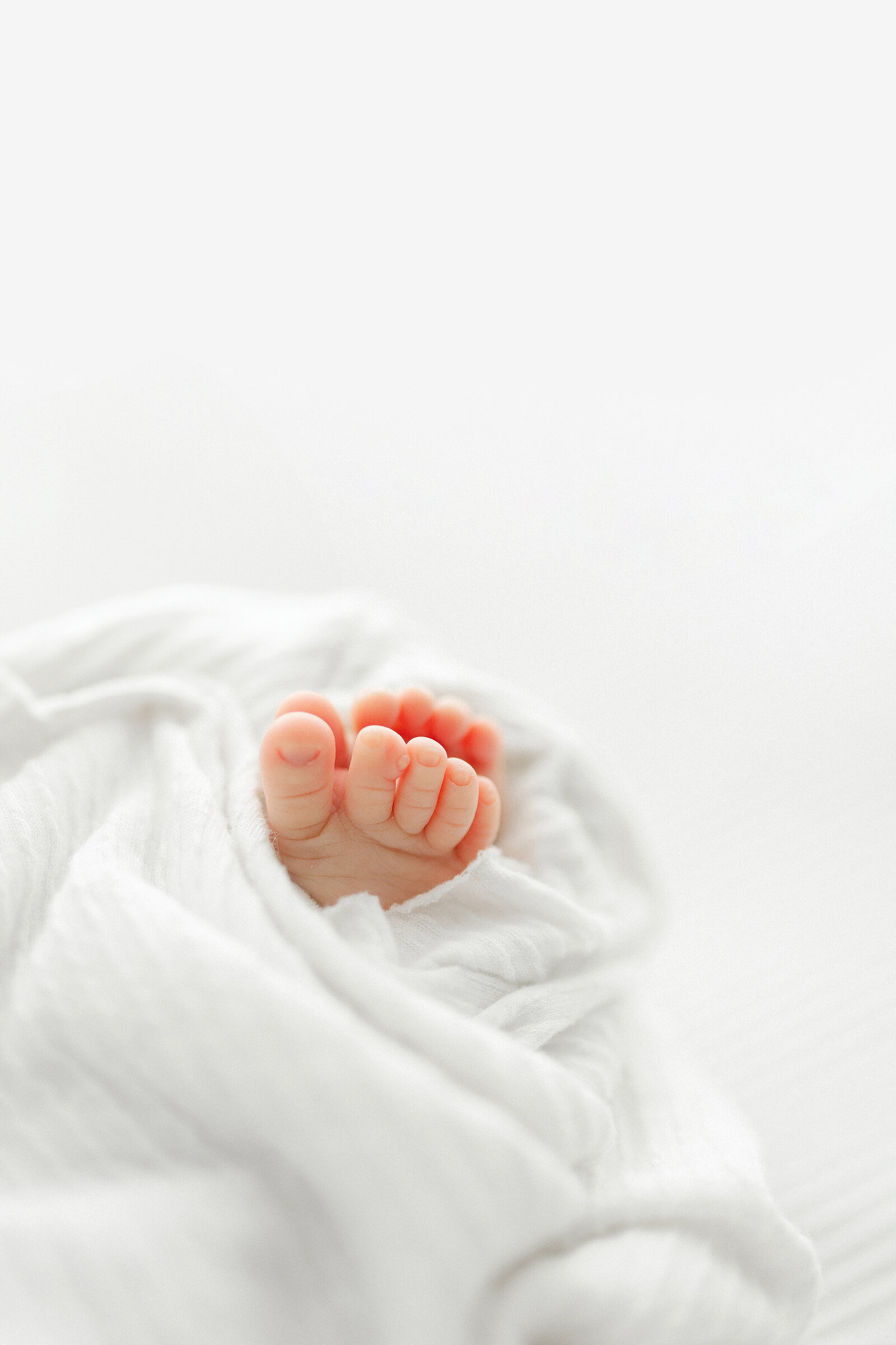Detail image of a newborn baby's toes during their professional portrait session 