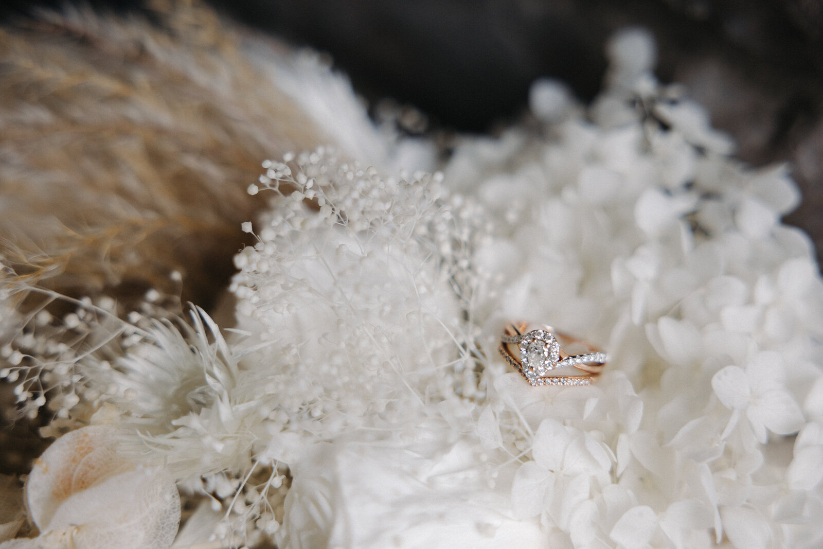 JB Photography - Backyard Wedding-5