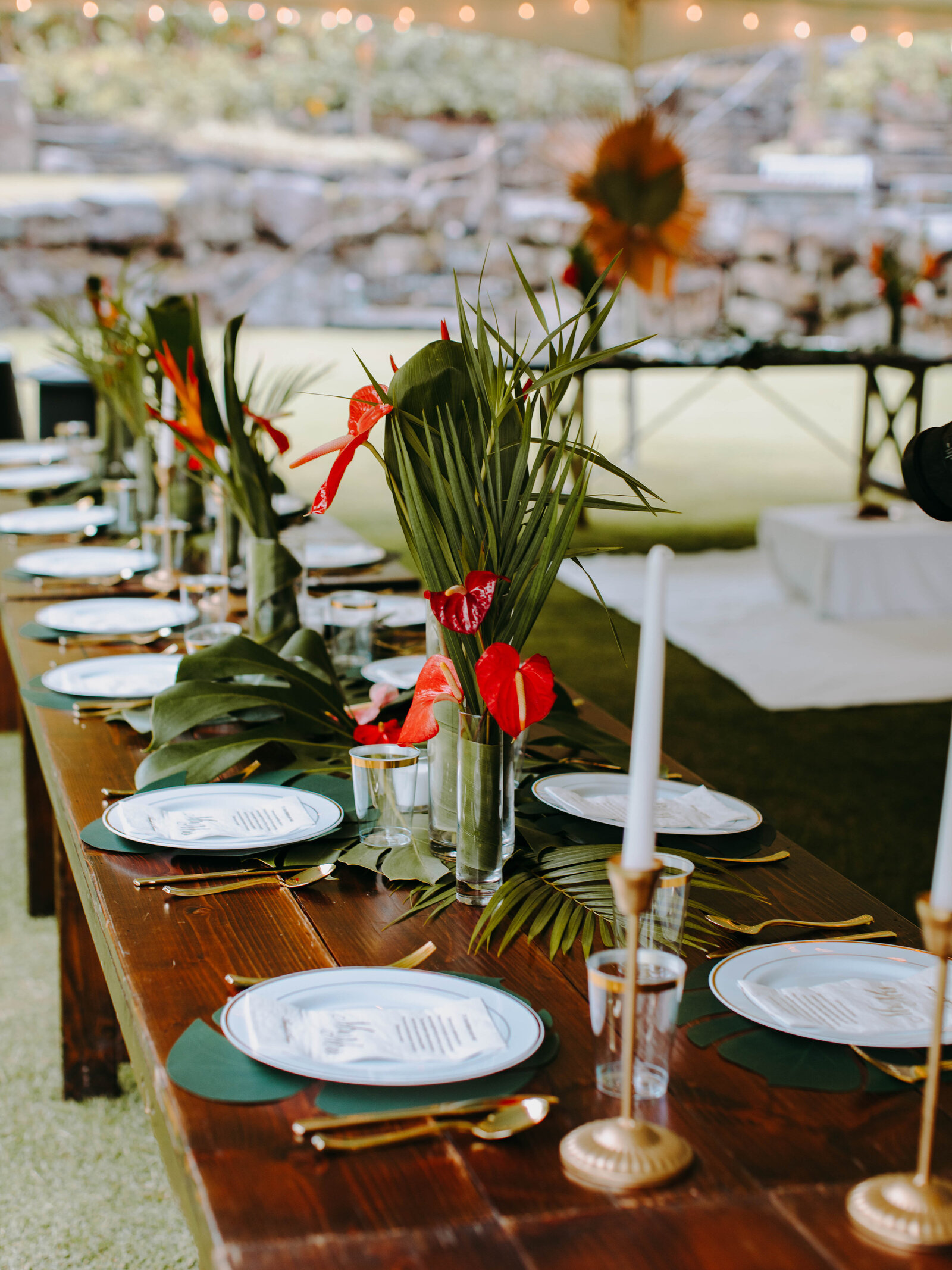 reception_alexandrarowephoto-6