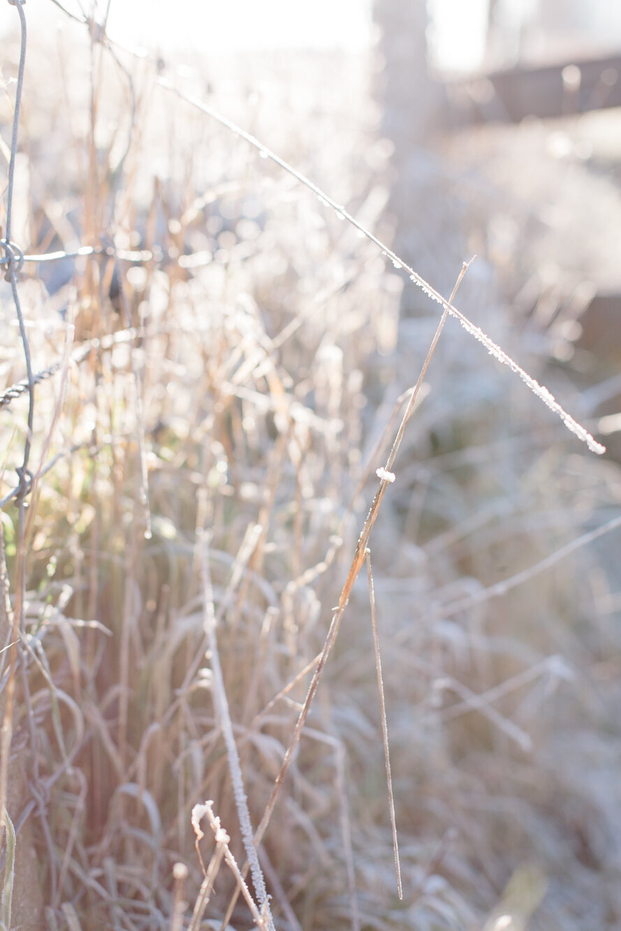 Trouwfotograaf Hoorn Noord-Holland ervaring veel