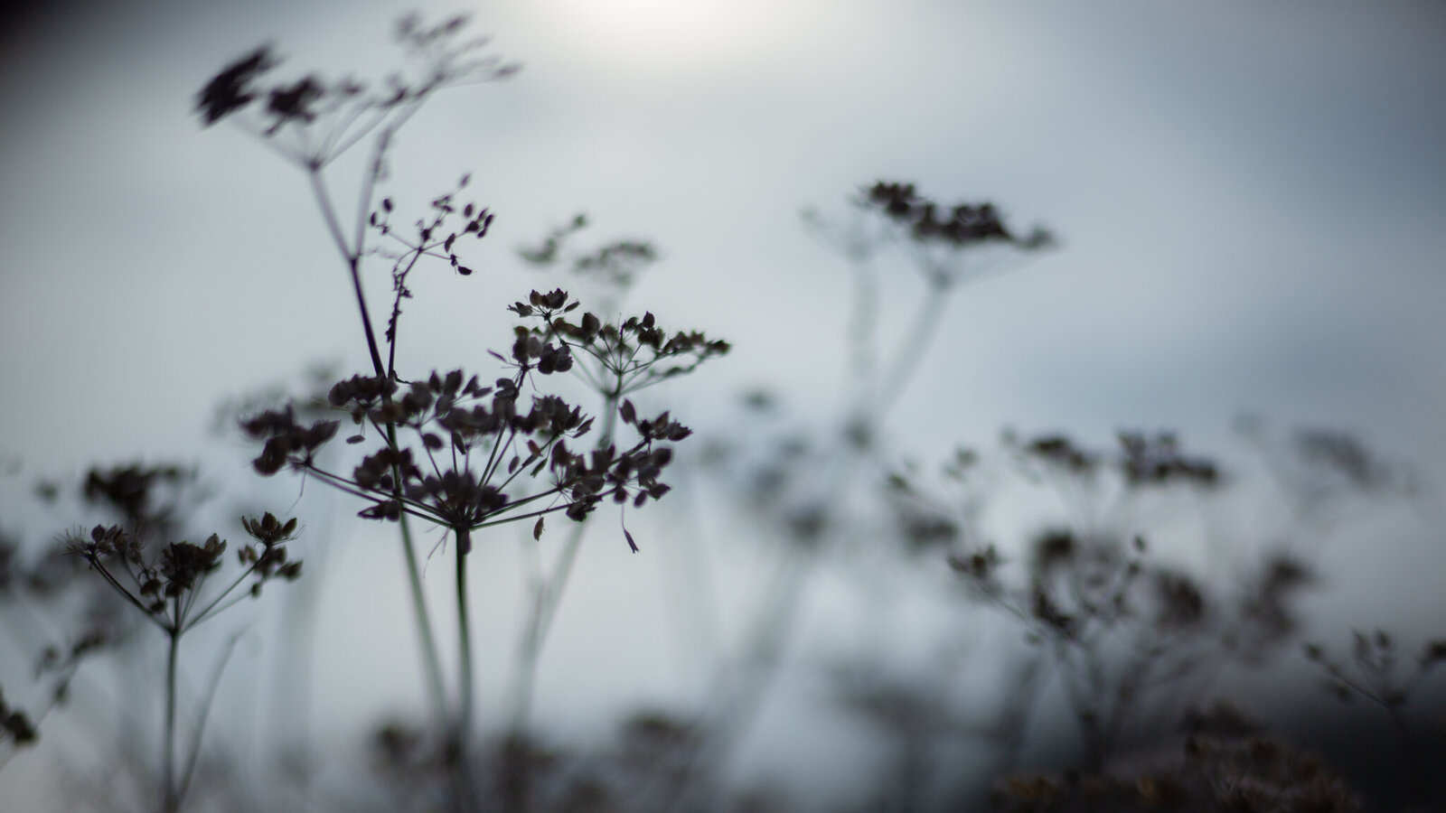 fine_art_photographer _015