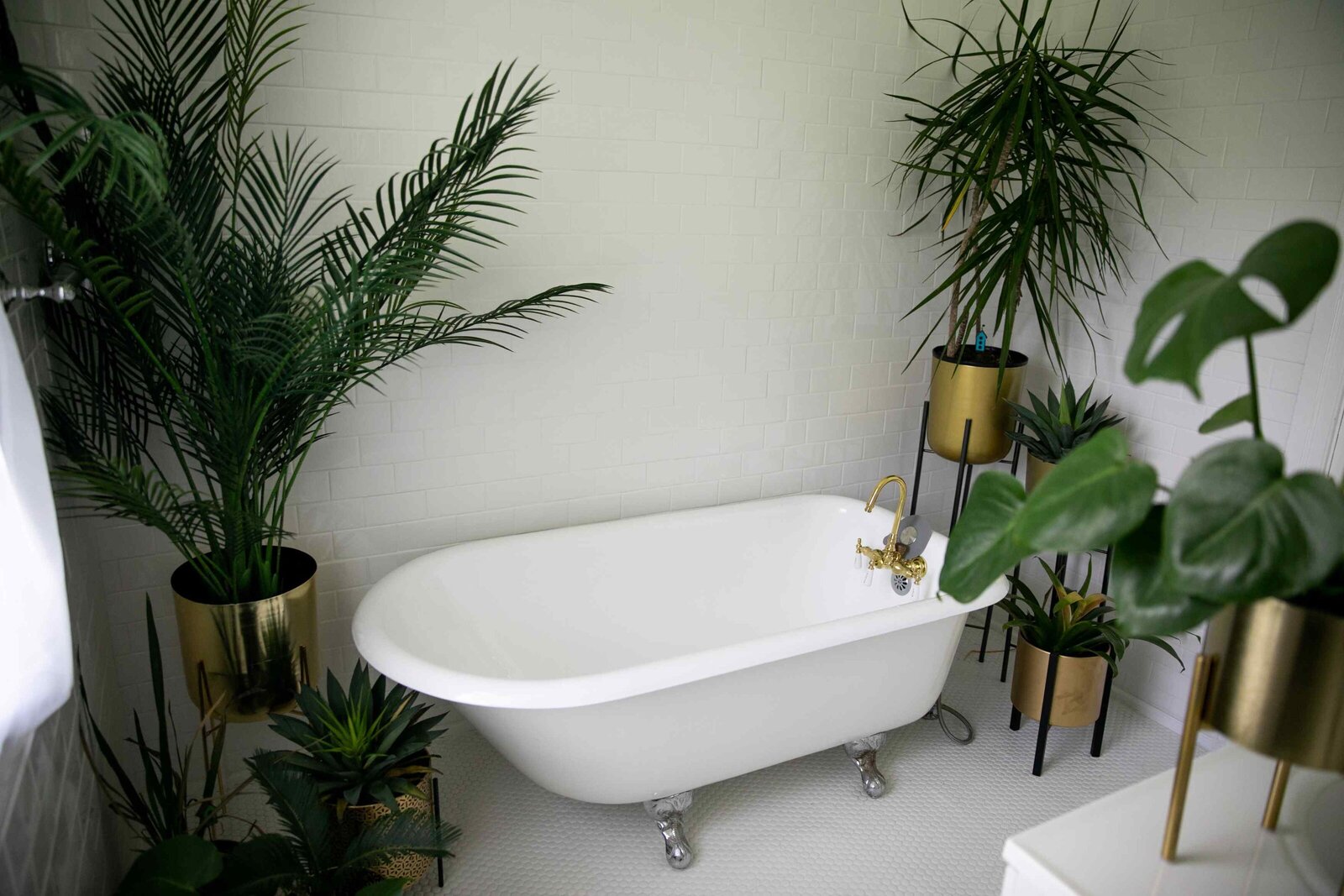 white clawfoot tub staged with large plants surrounding