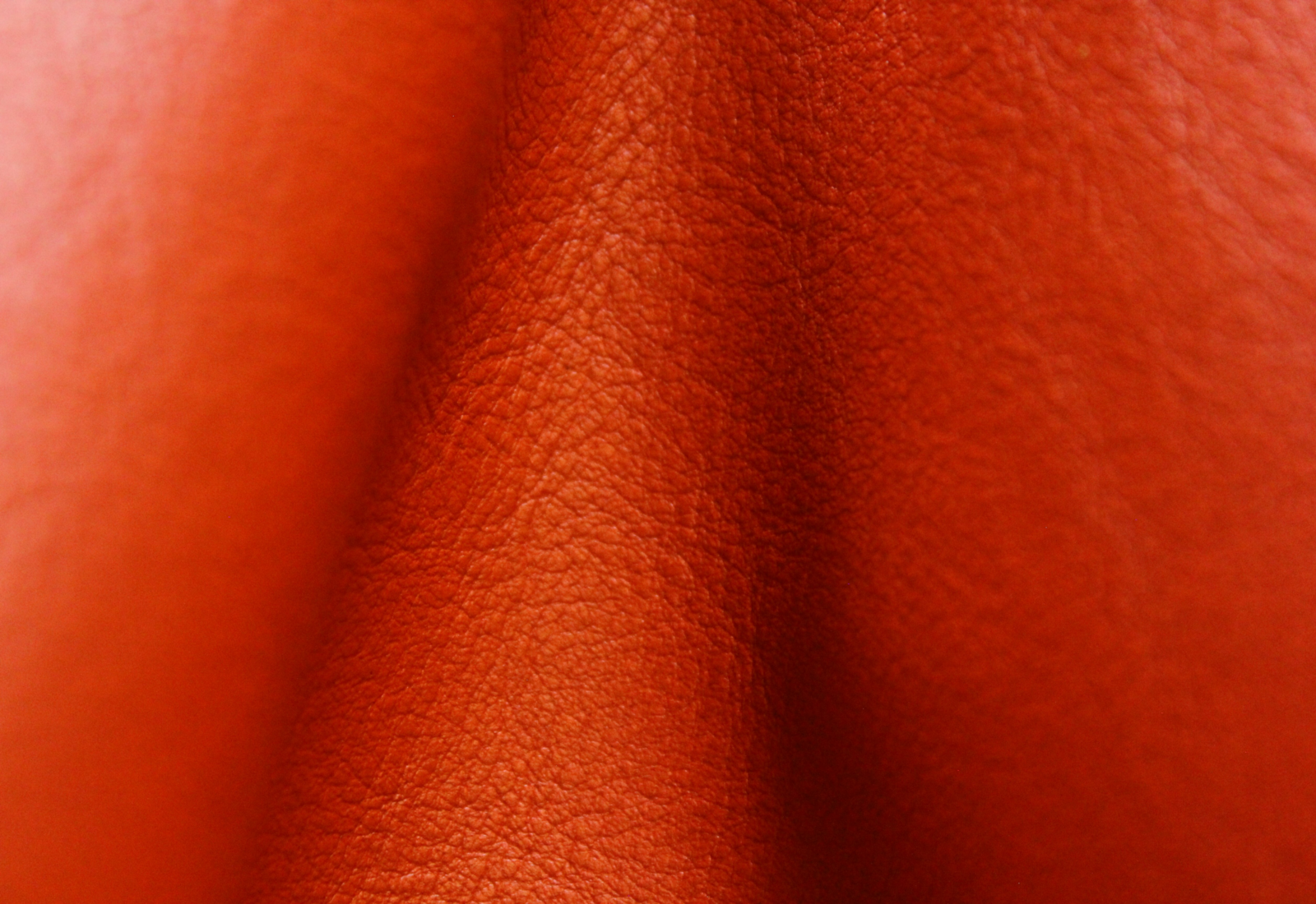 Amadeus Tiger Lily Leather