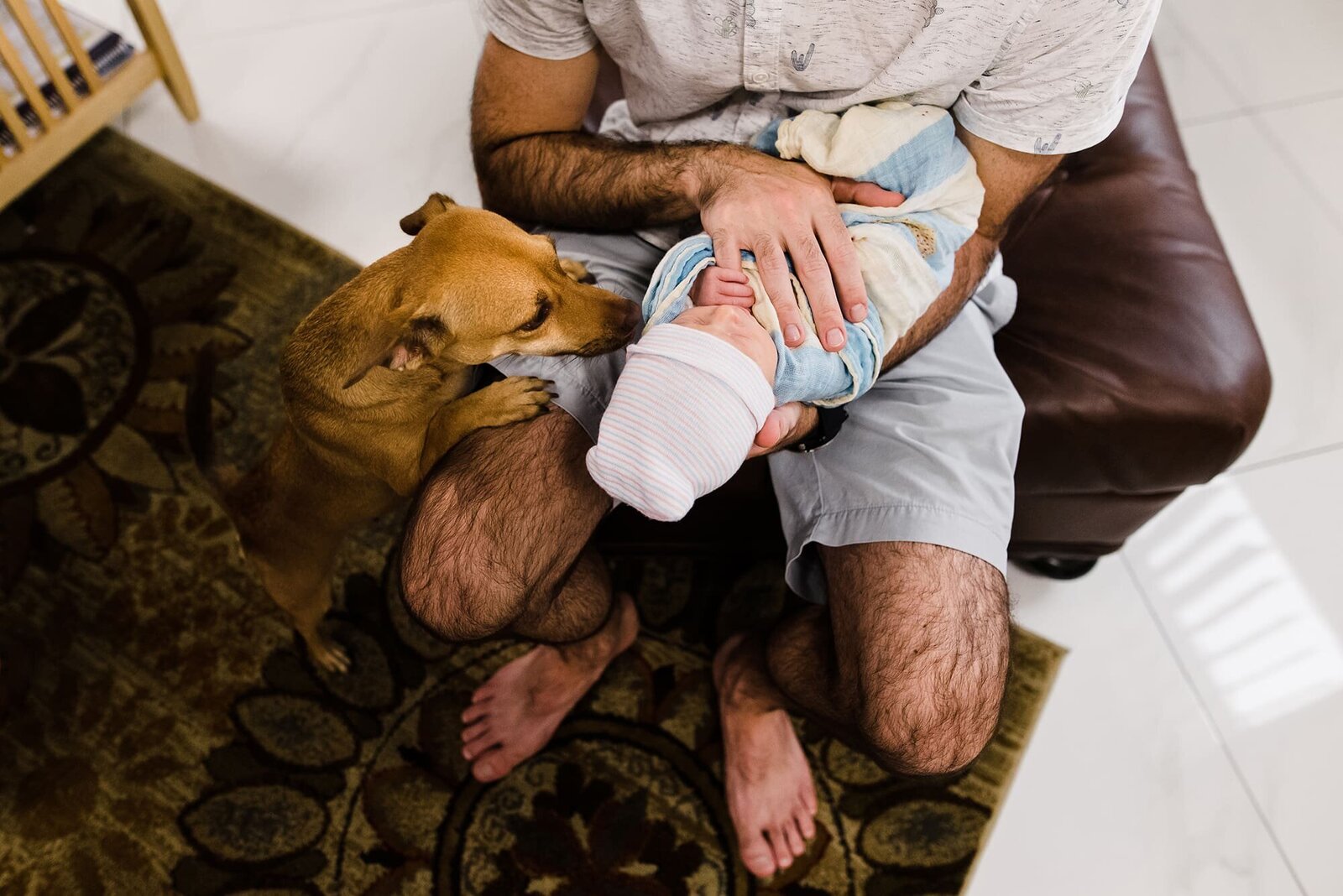 San Diego In Home Newborn Photographer with Pets