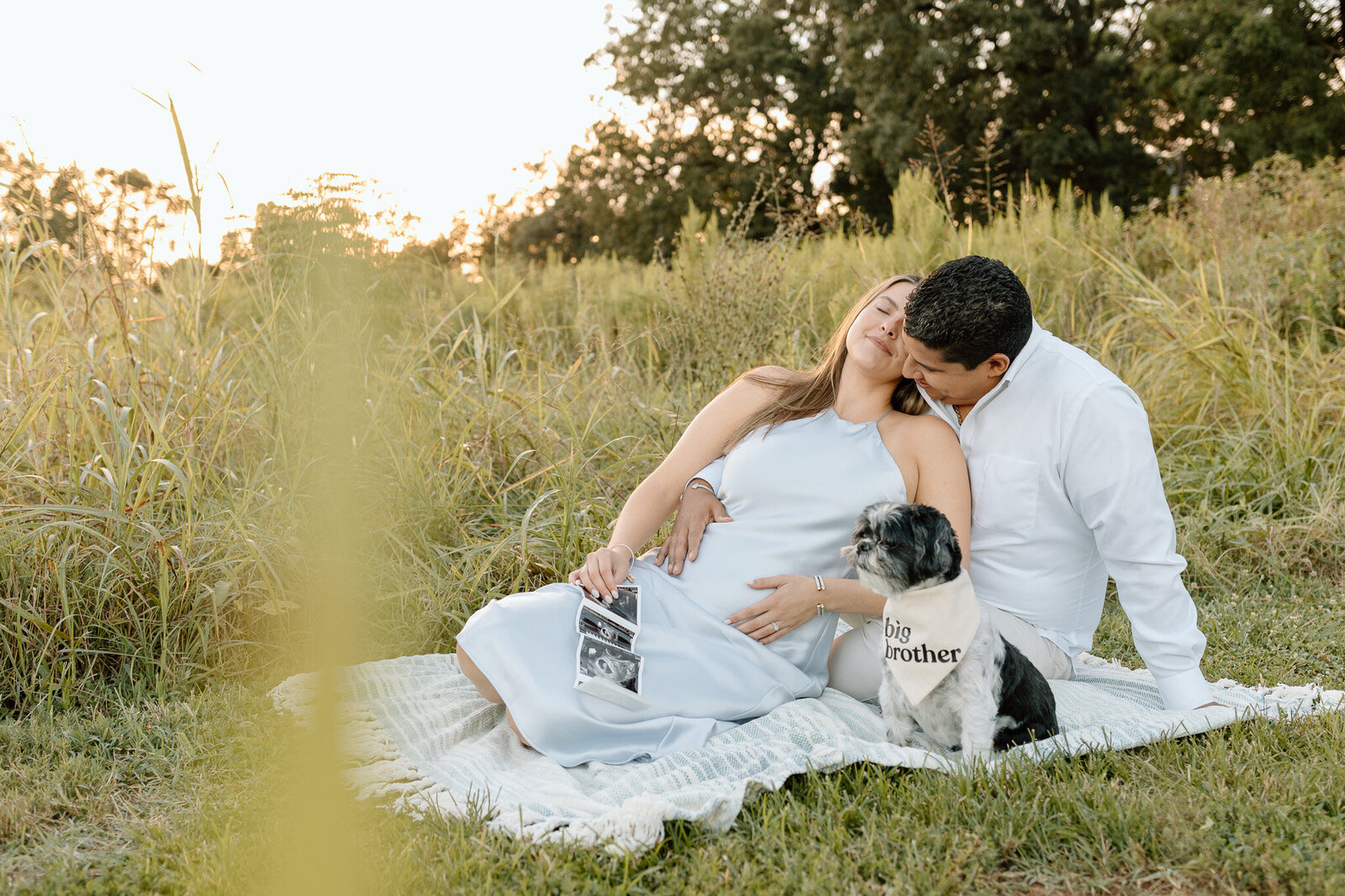 pregnancy-announcement-charlotte-clarks-creek-dog (6)