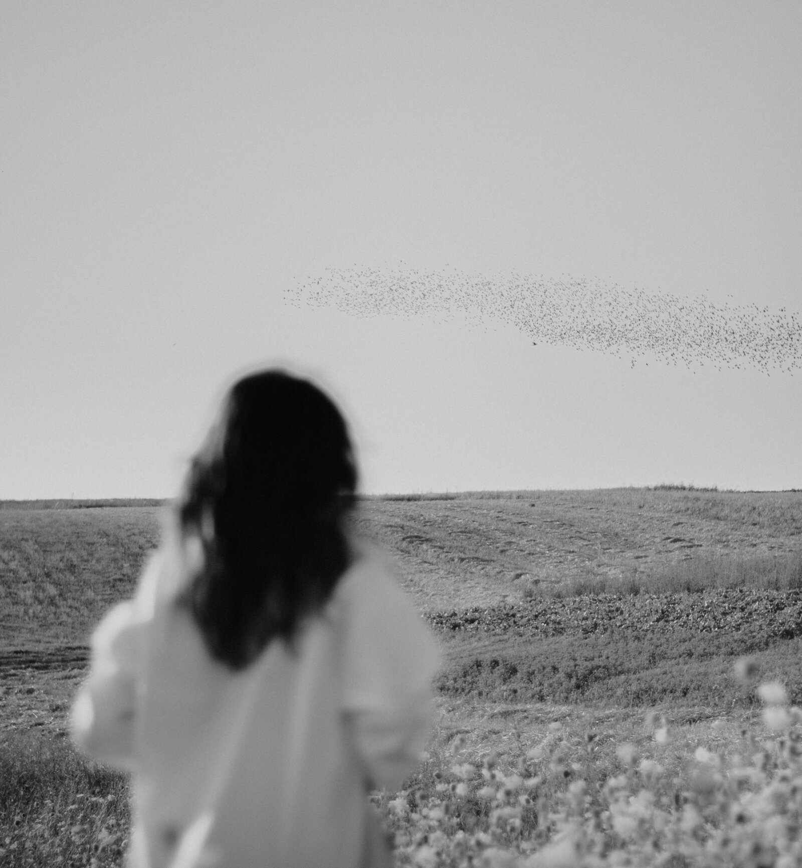 roman-melnychuk-683nZWSHjm0-unsplash