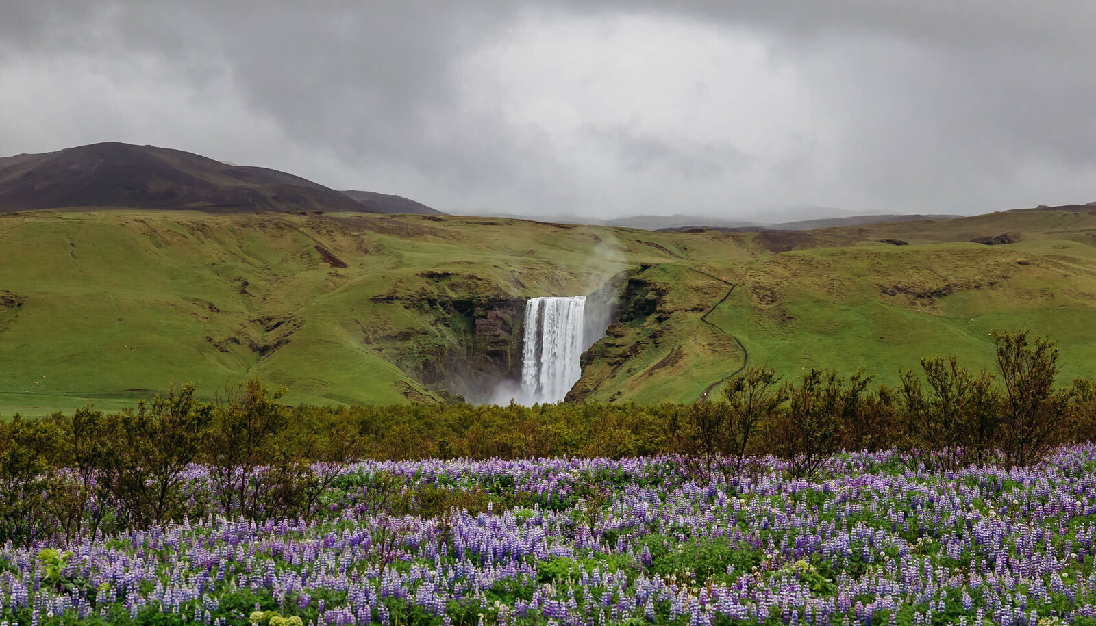 Scenic Ireland Landscape with purple wildflowers, waterfall, and cliffs.