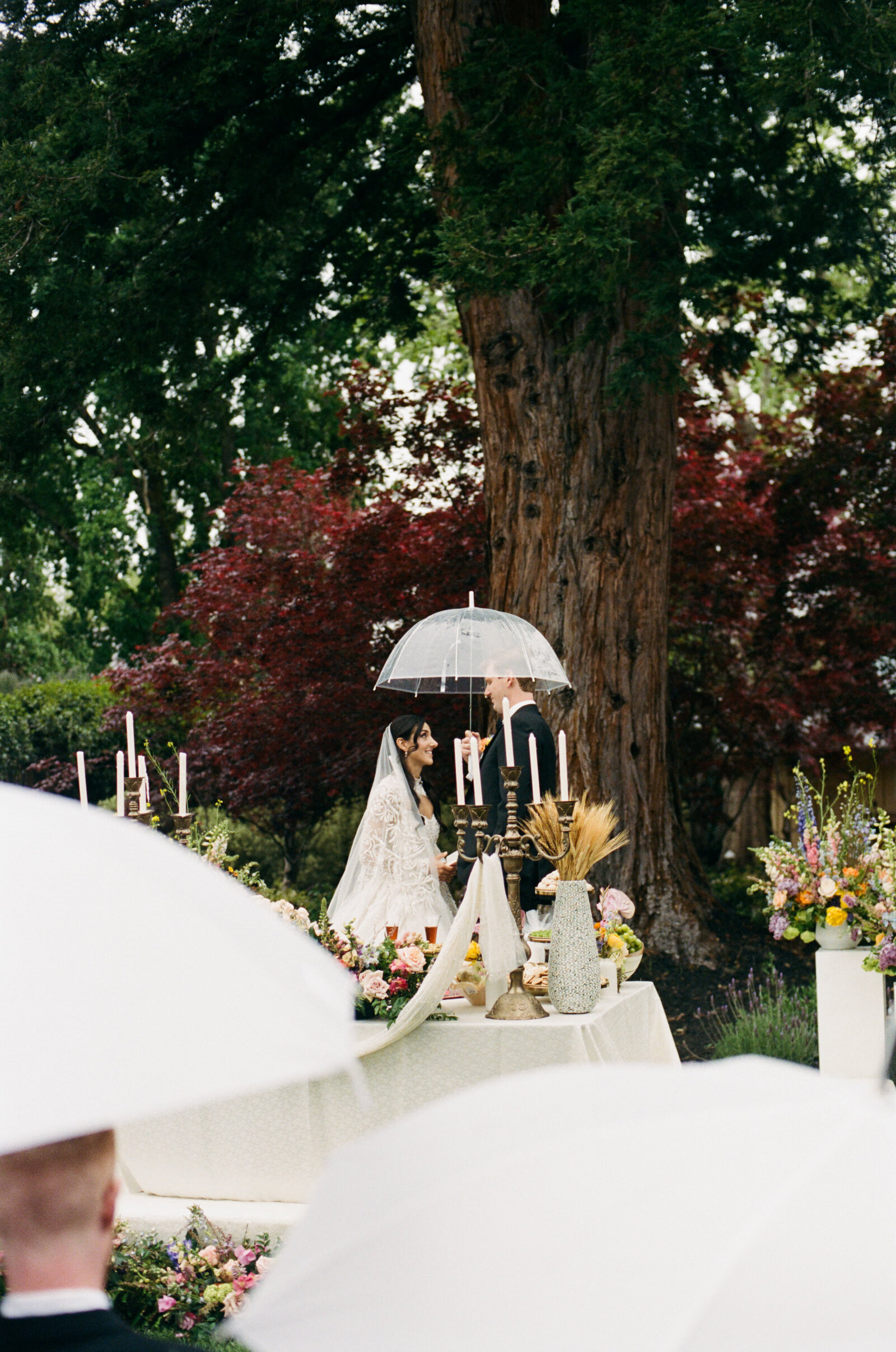 Persian Sonoma Wedding92
