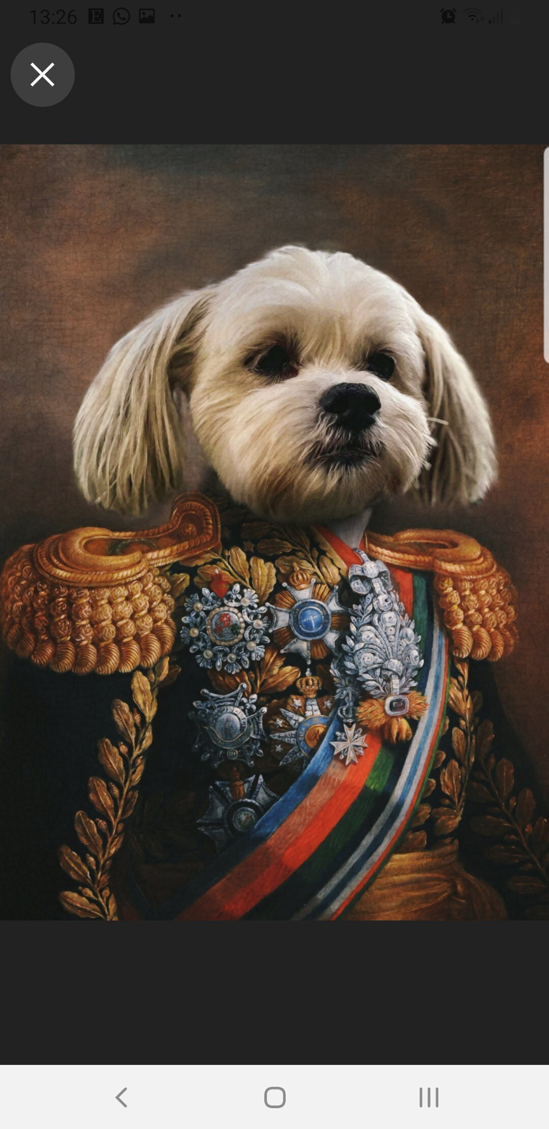 Screenshot_20240624-132626_Etsy 2