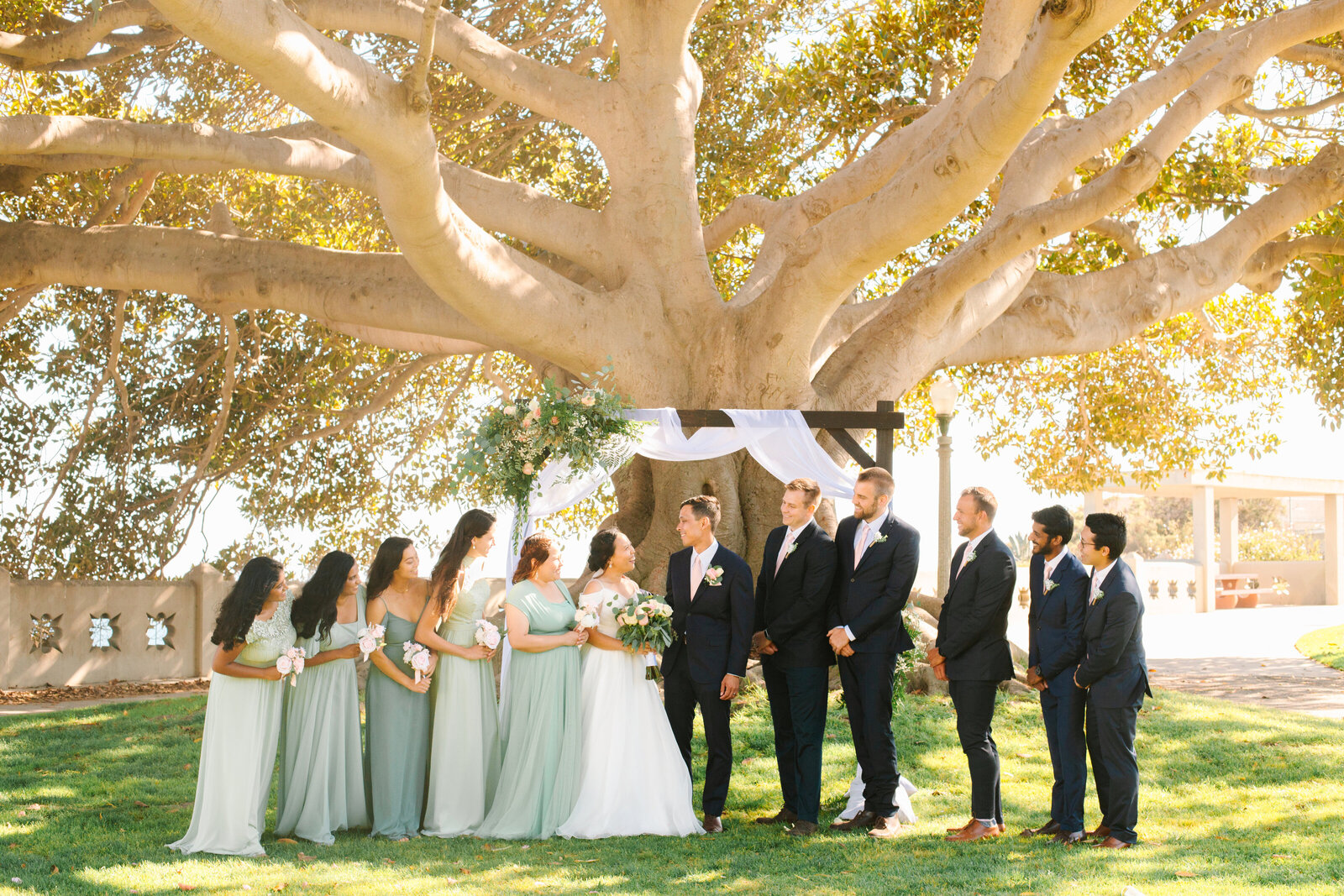 A bridal party stands underneath a sunny tree