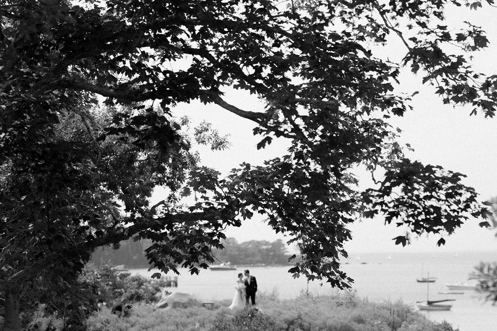 AlexandEmilywed140