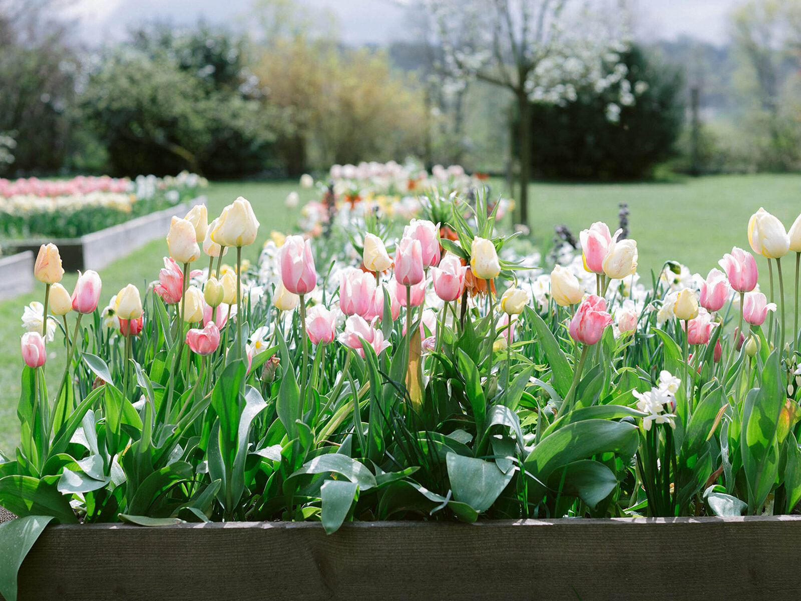 CapucineAtelierFloral-atelier-jardin-fleurs_10