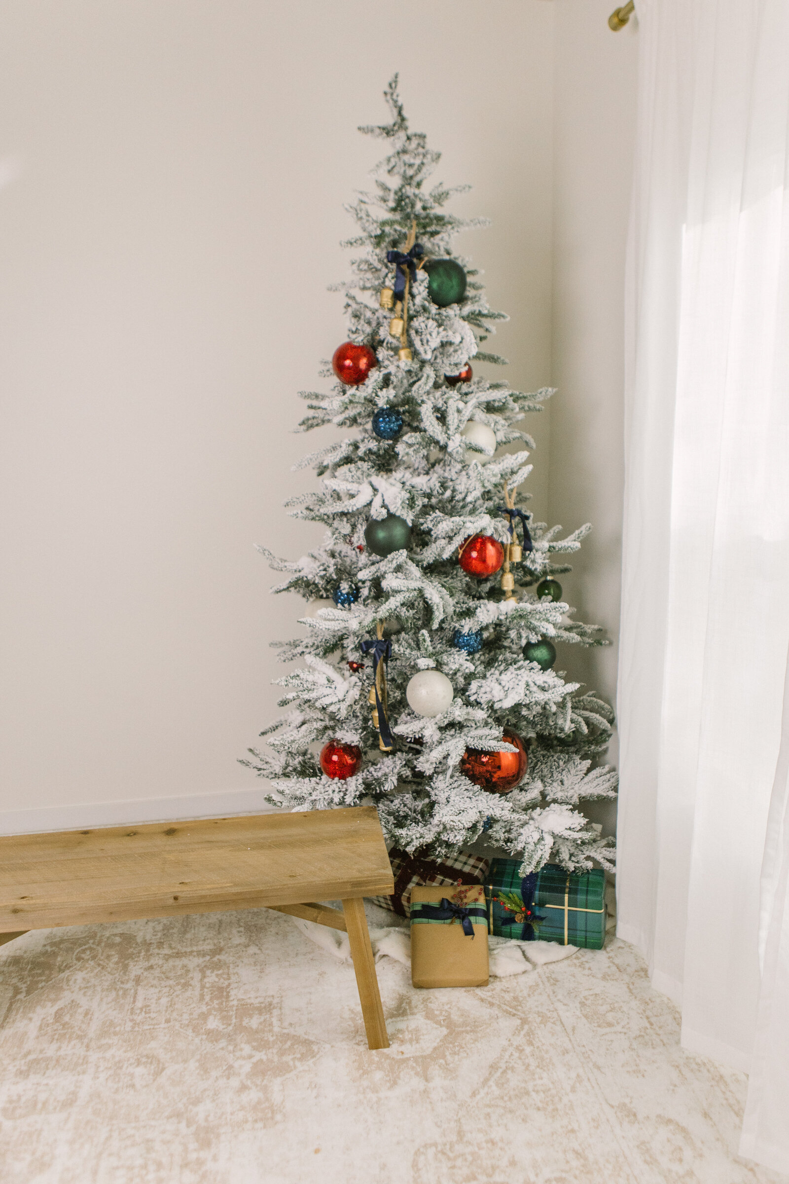 boise-christmas-minis-1