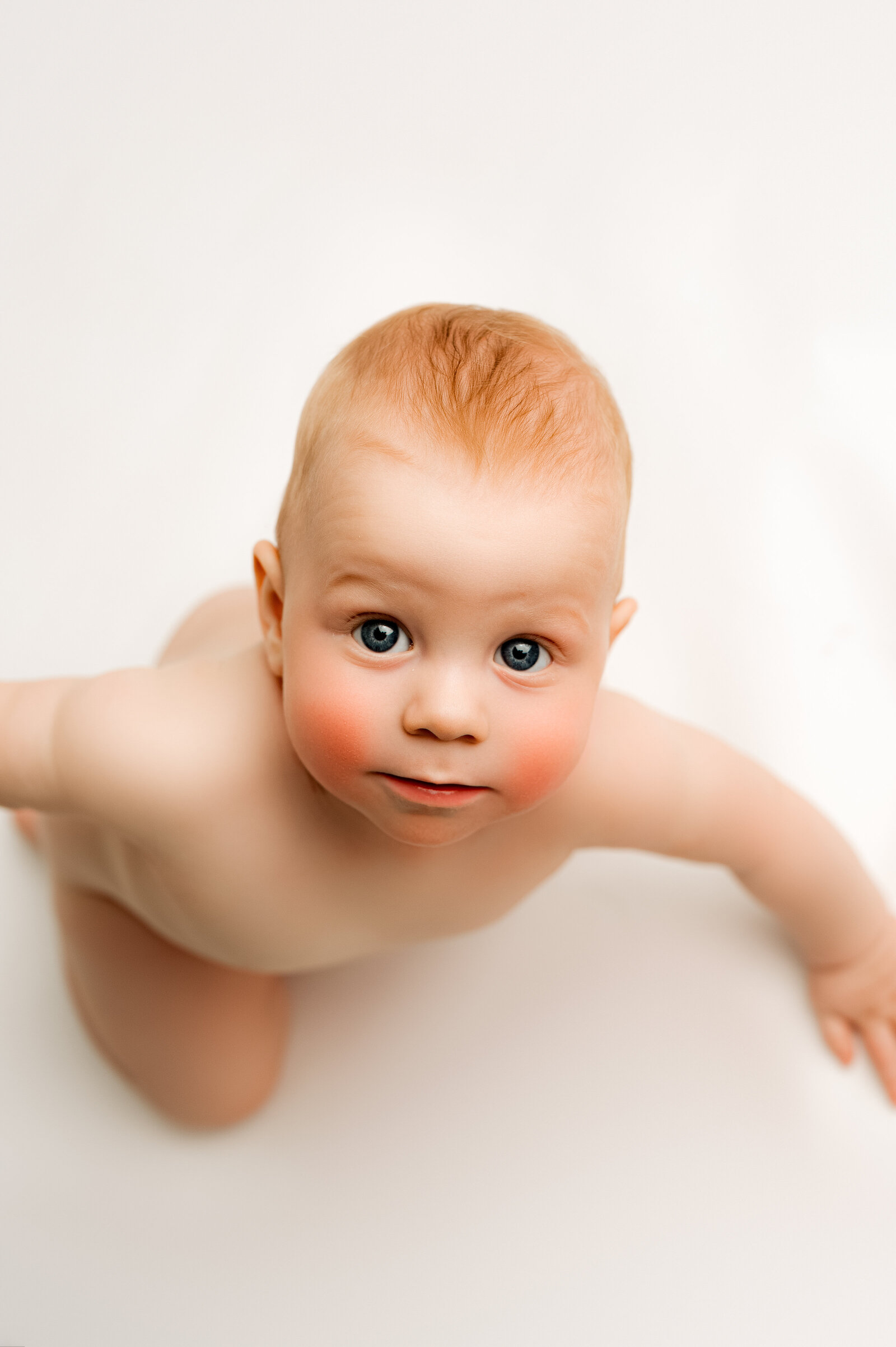 Shep-sitter-Nicsostudio-charlotte (2 of 3)