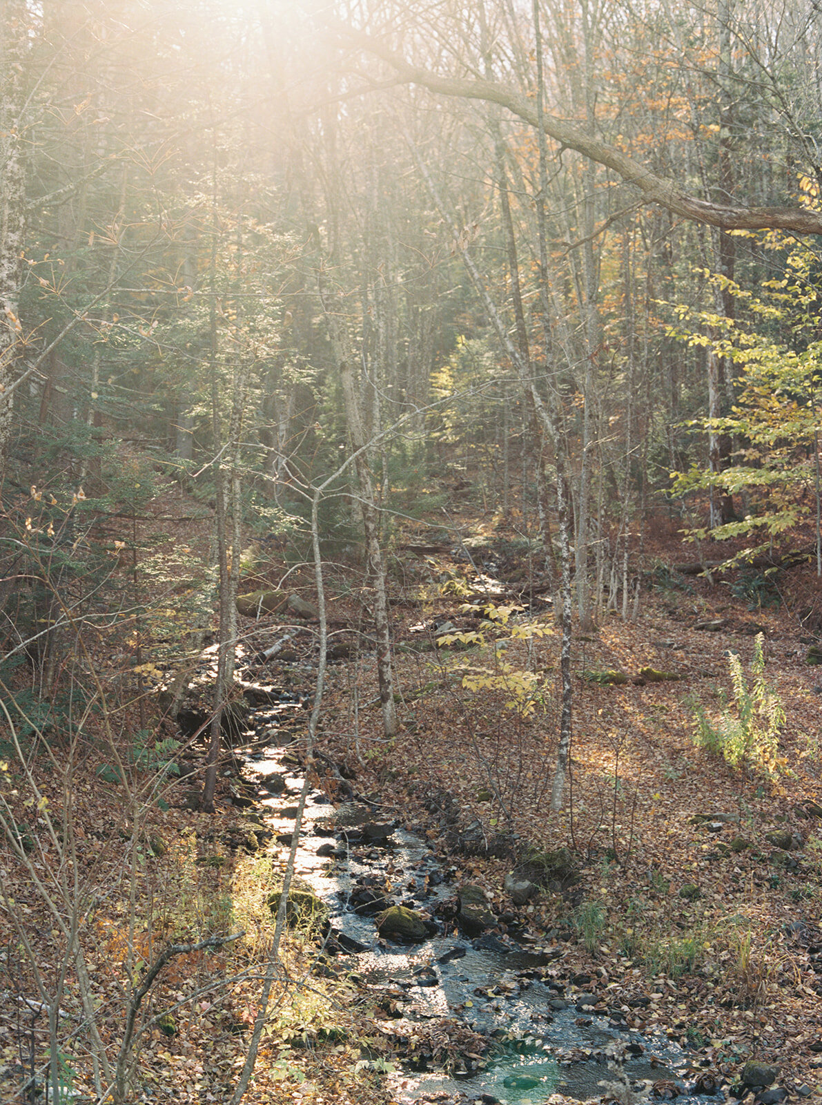 A.Young.mountain.119_websize