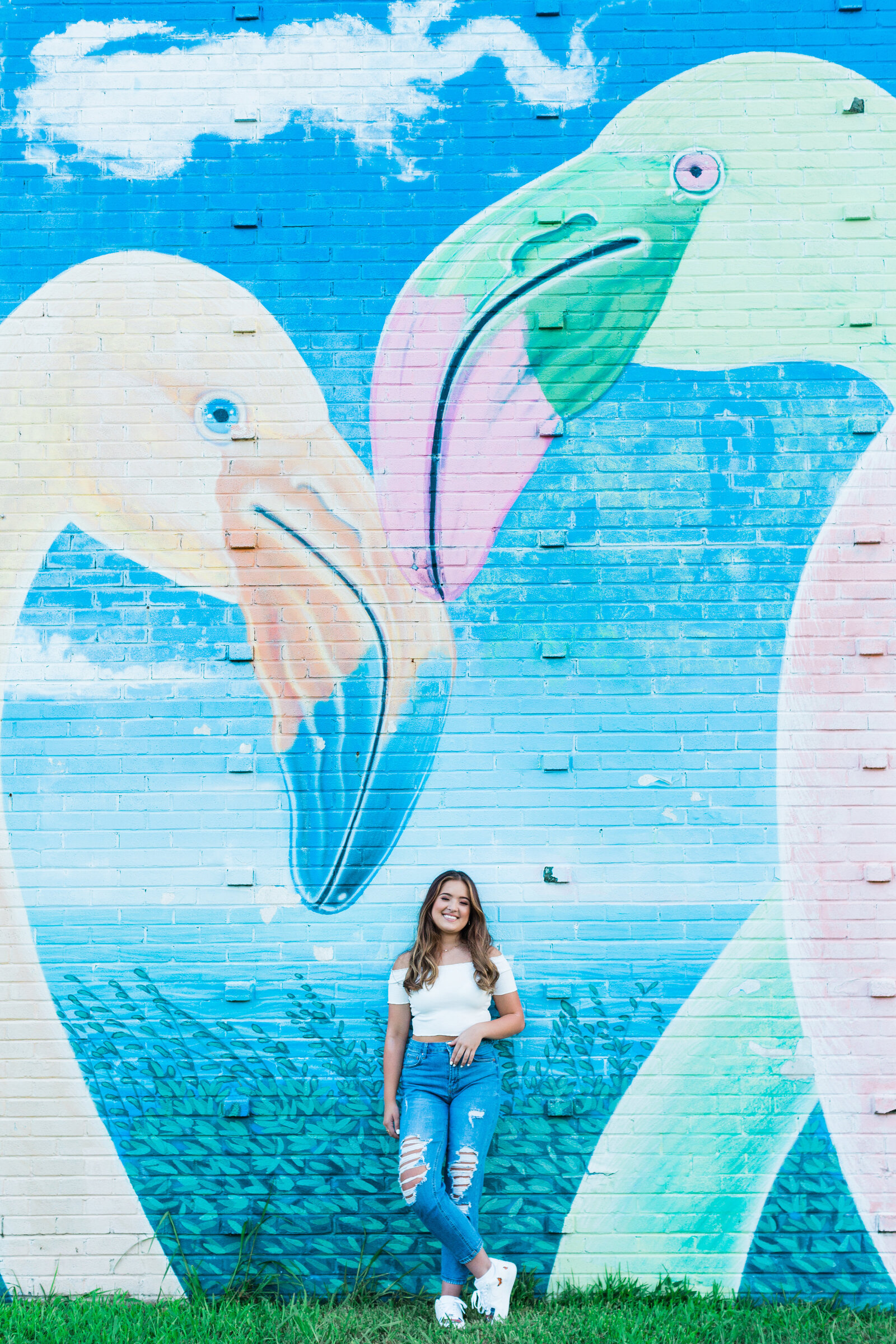 flamingo mural senior pics