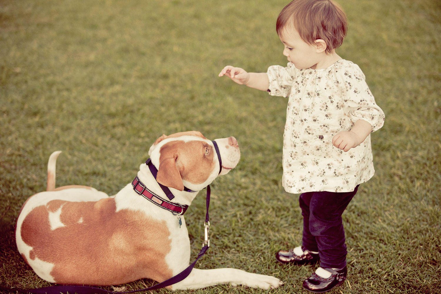 san diego family photography | little girl loving her dog