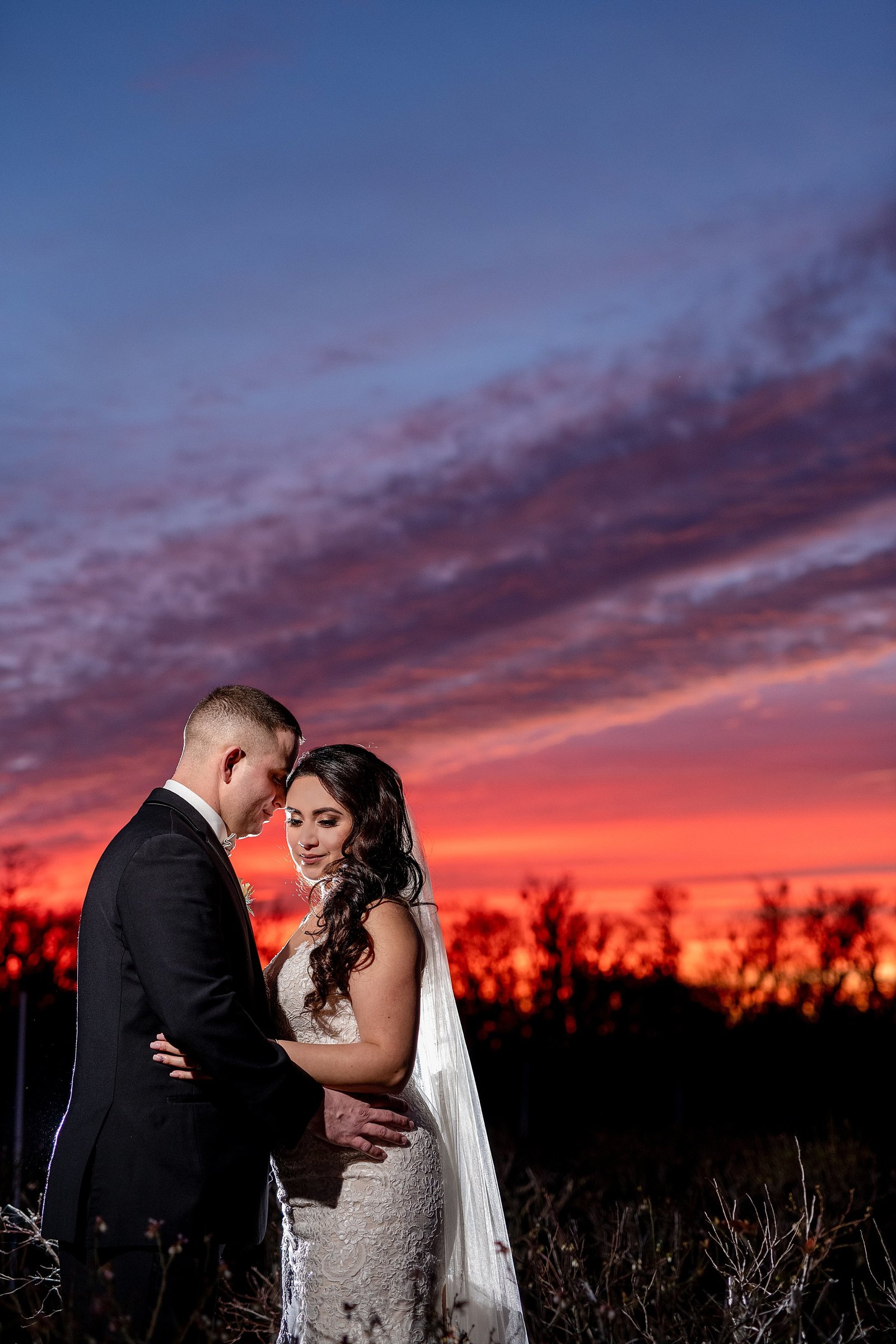 Ever After Farms Wedding | Orlando Wedding Photographer-1