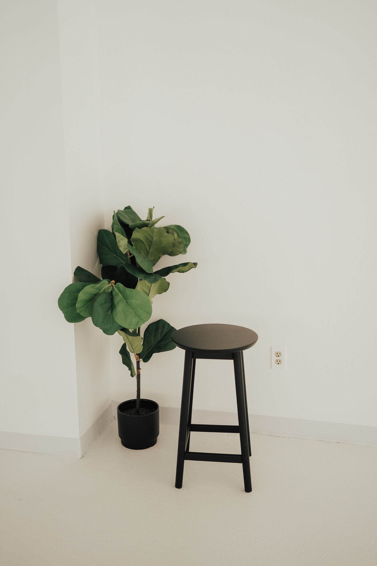 Pompy portraits new studio 4