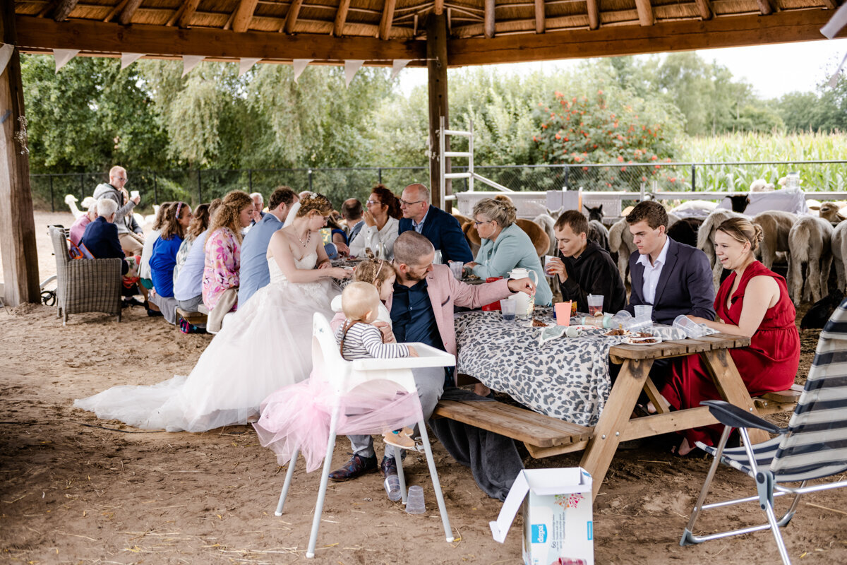 Alpaca bruiloft, trouwen in Beetsterzwaag, trouwfotograaf Friesland (99)