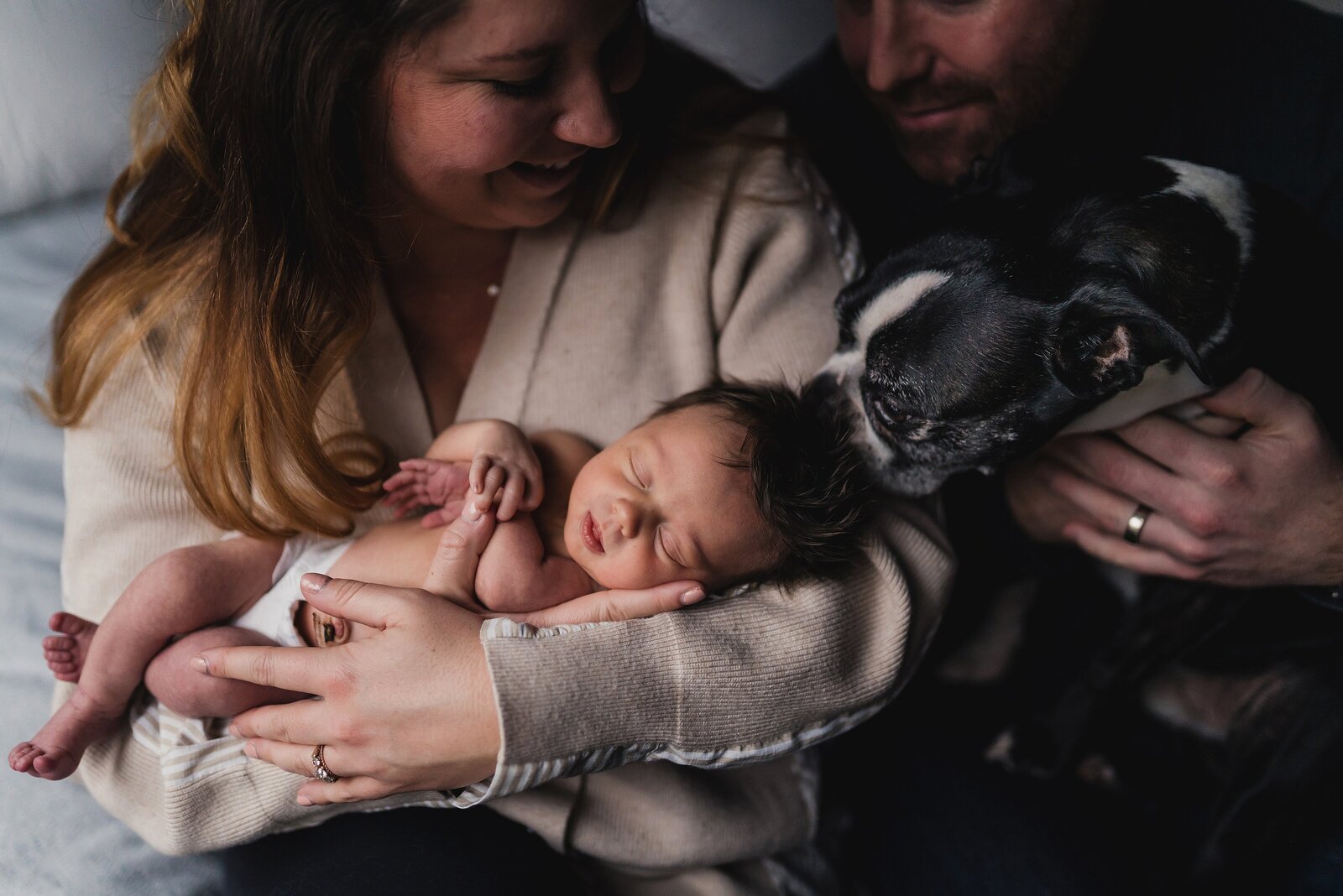 Family newborn photo with dog, baby and parents