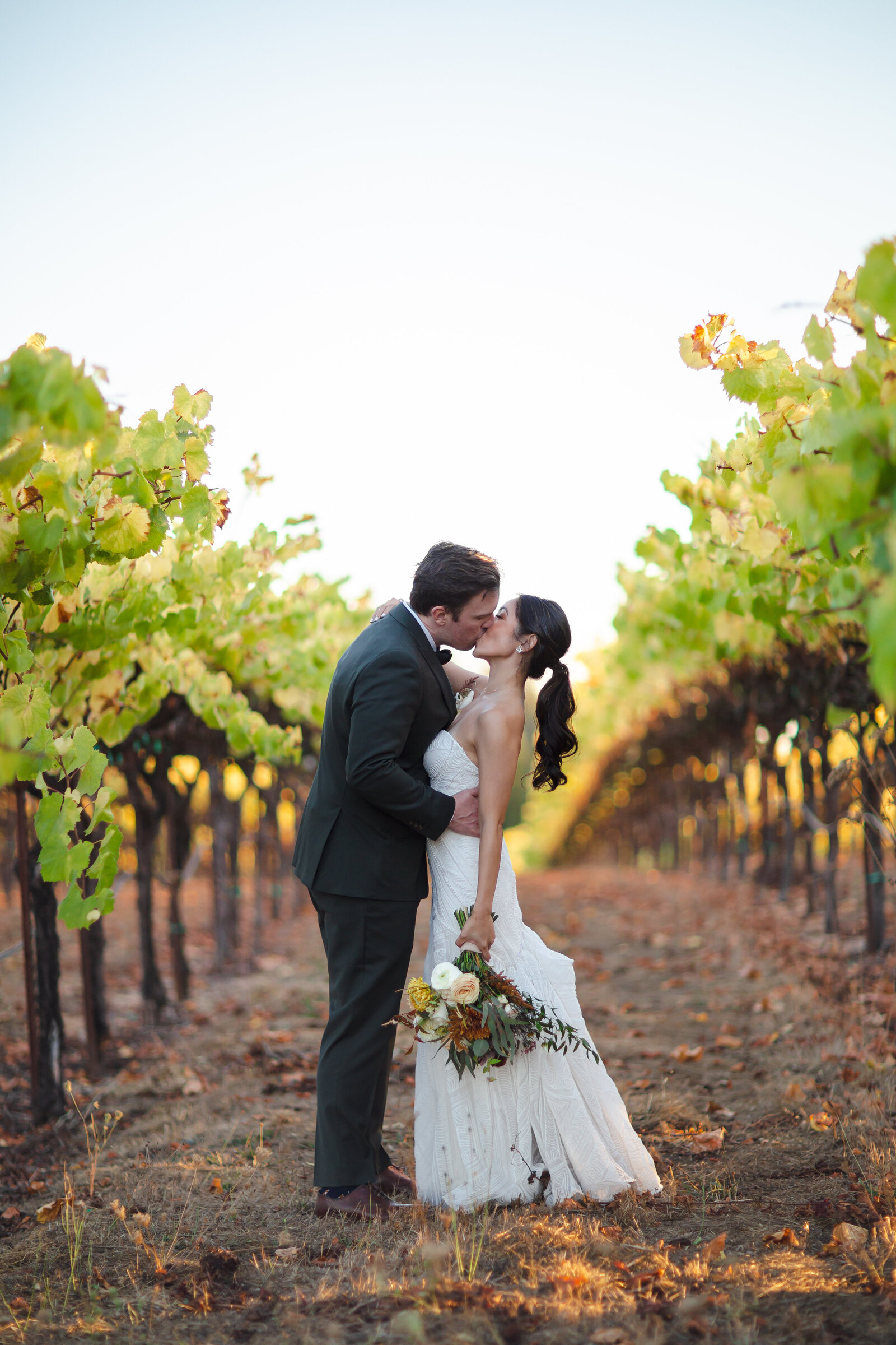vineyard-1