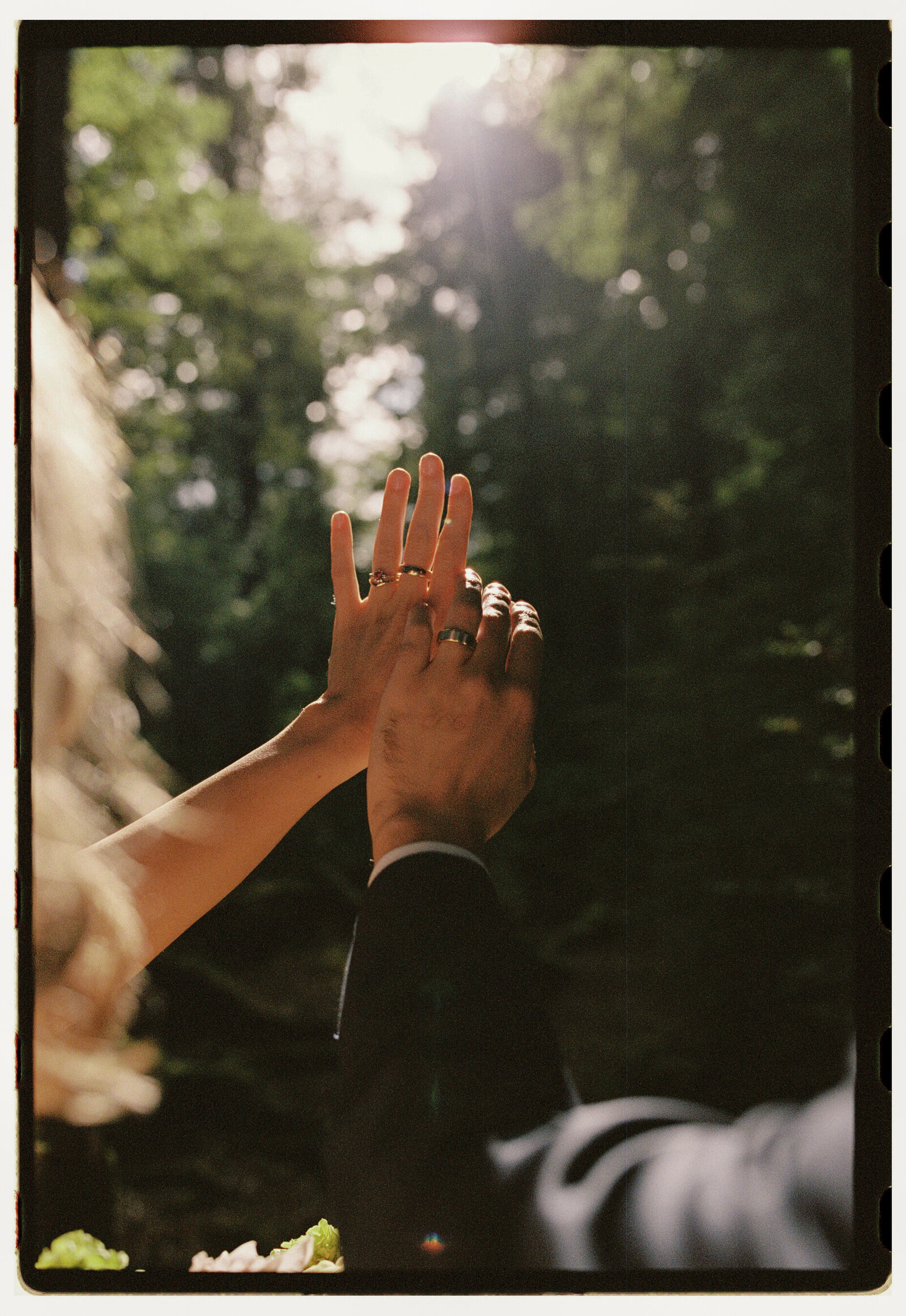 Glenorchy-Elopement-Zara-Staples-Film-Photographer-199