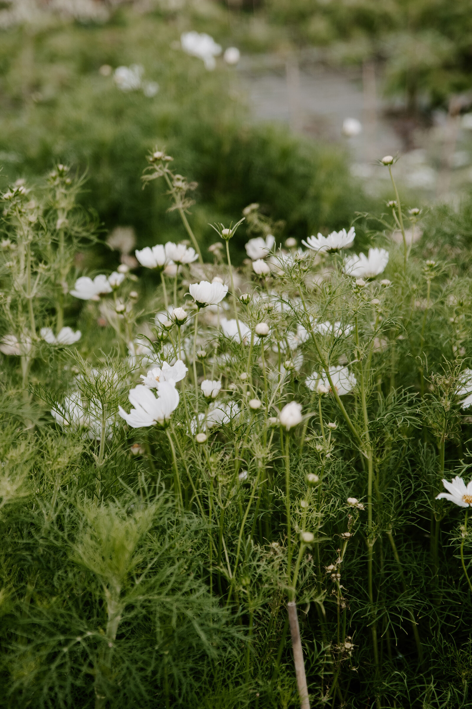 classesflorale_worshop_fermeflorale_2