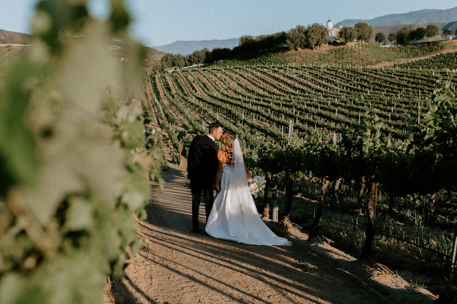 Leoness Cellars Wedding D+B19