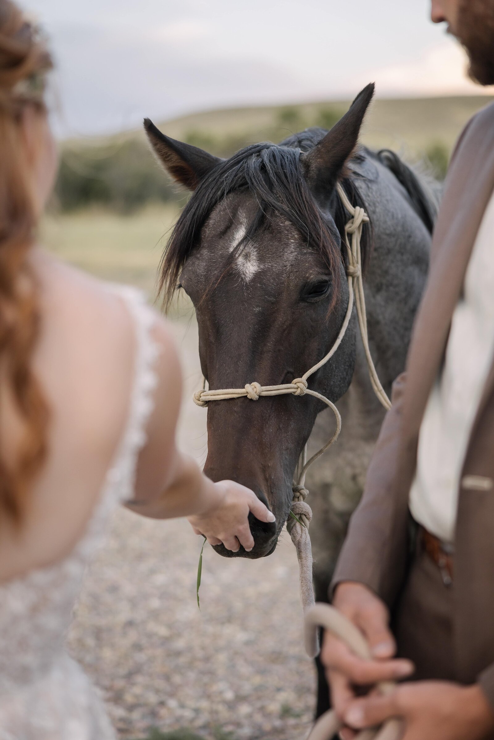 horse wedding on a ranch in Wyoming