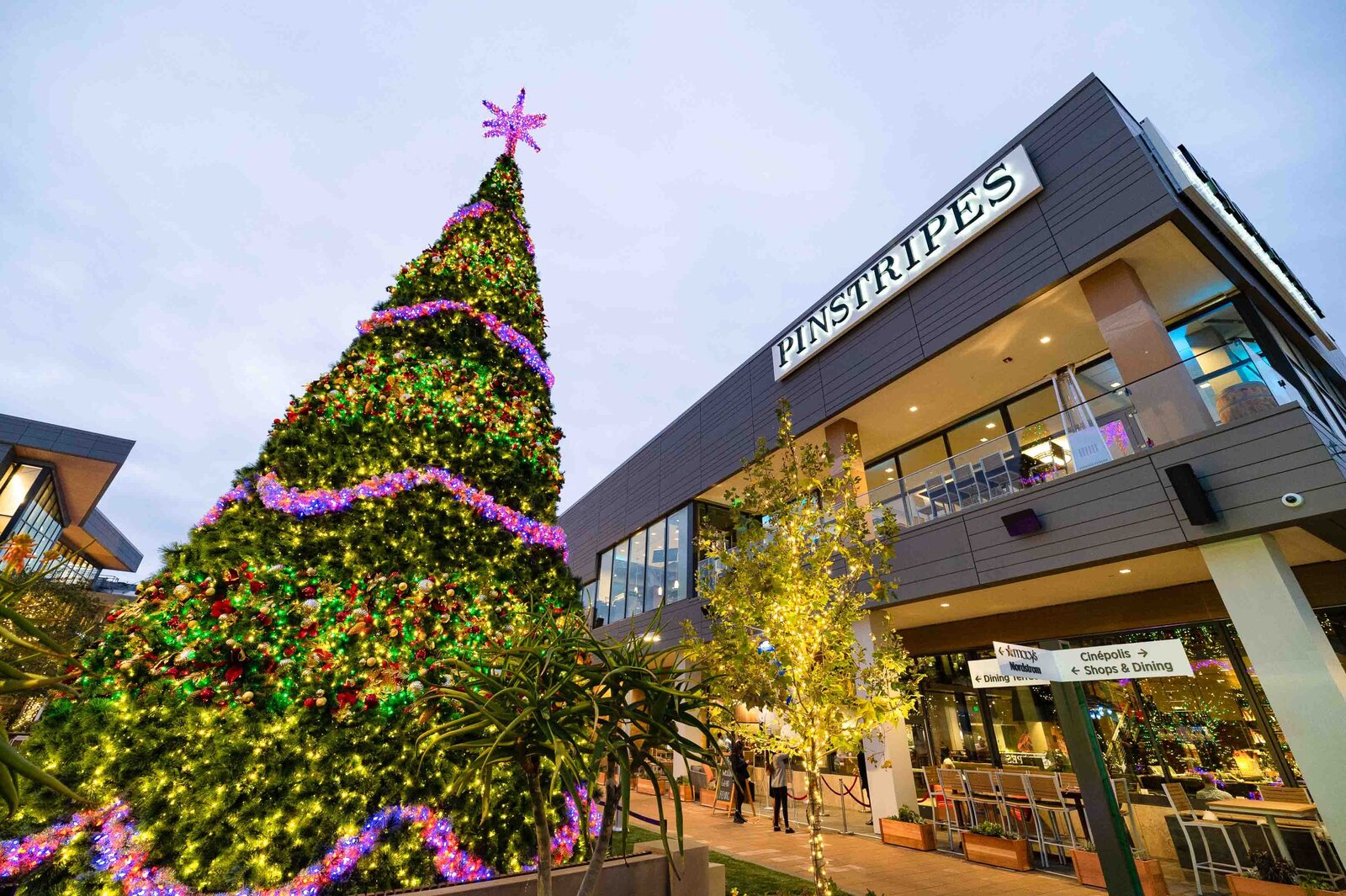 Holiday party building exterior with Christmas tree. -