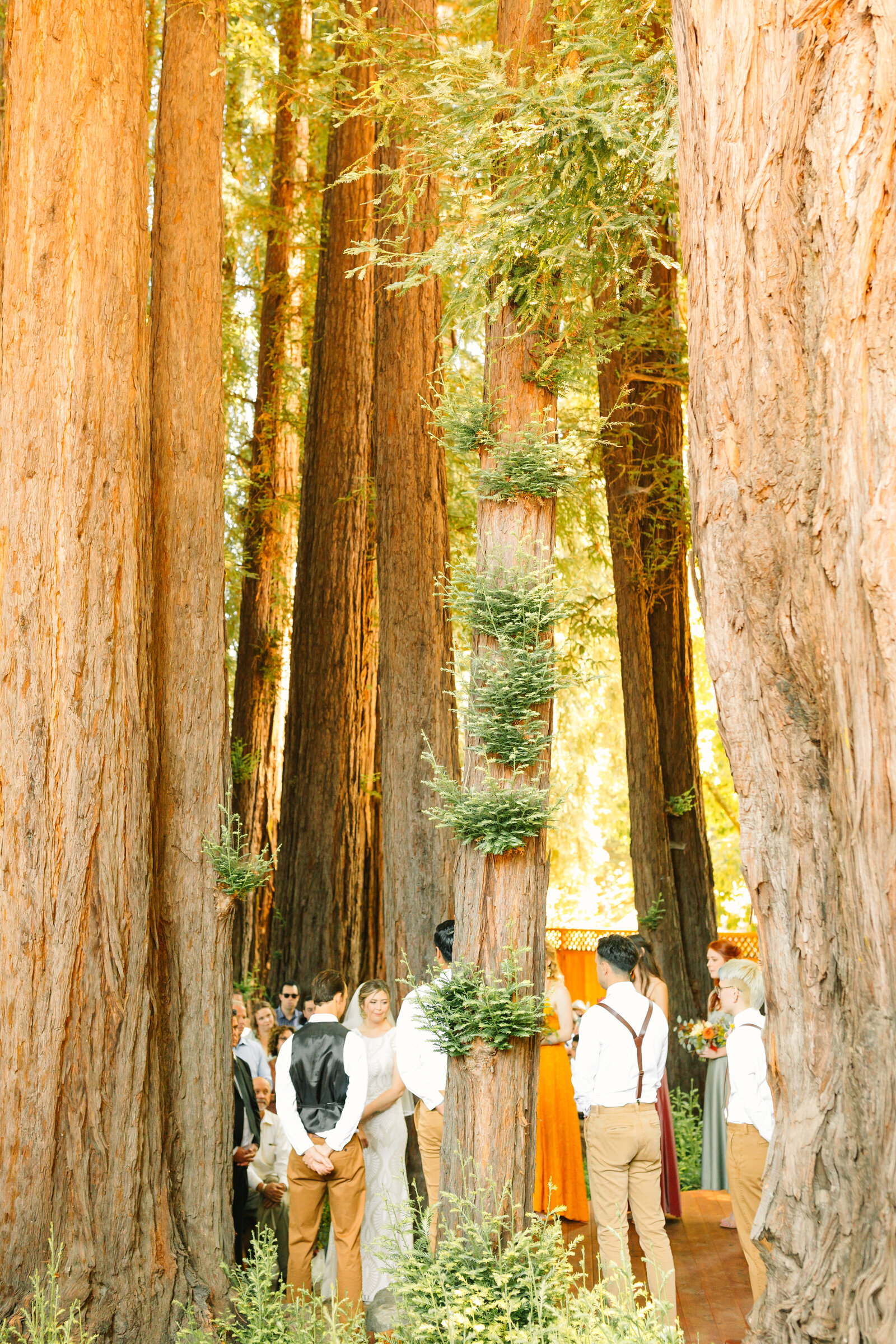 Bride and groom at their colorful wedding ceremony in Santa Cruz, California in the redwood trees.