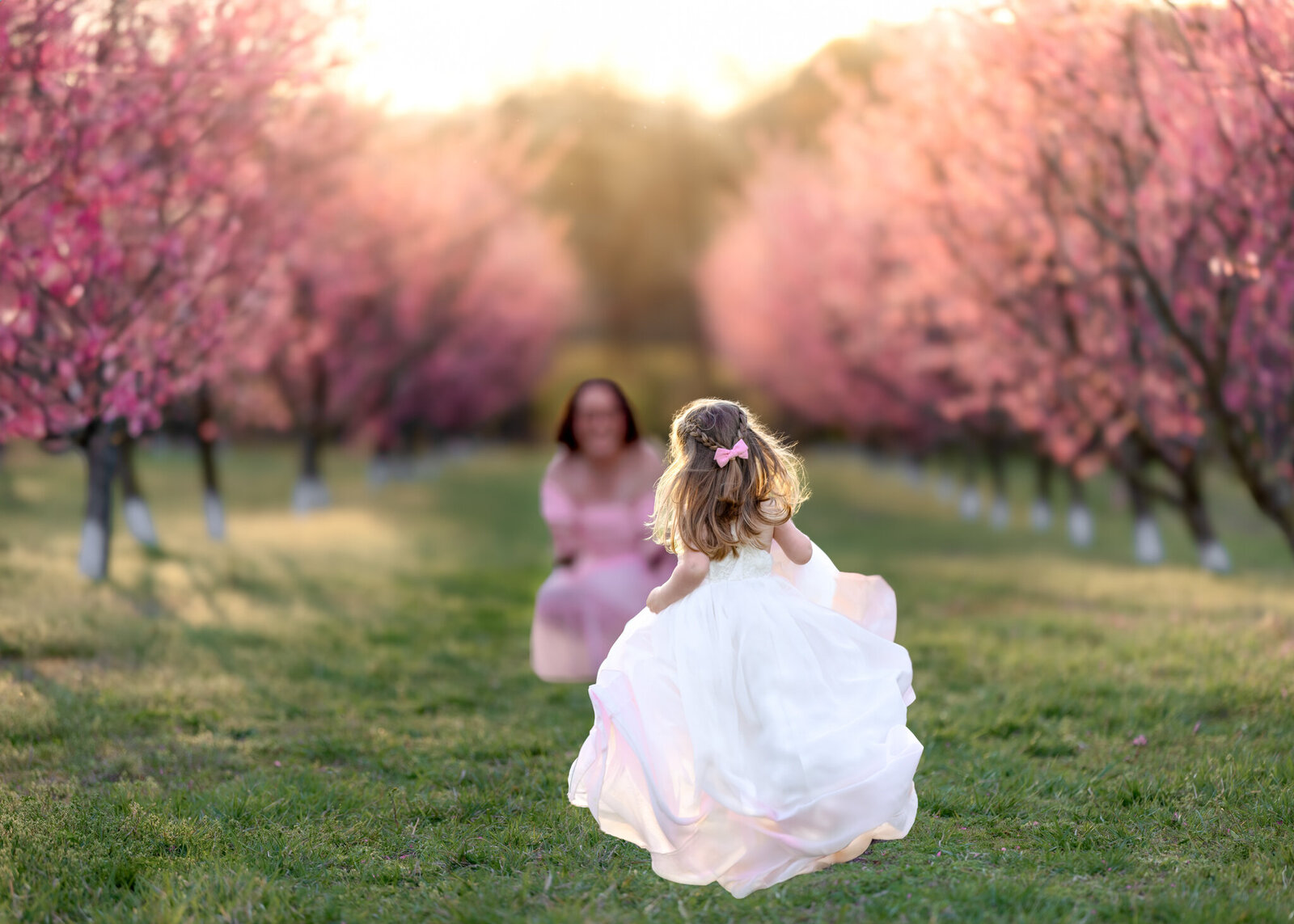 Raleigh-family-photographer-2025-622