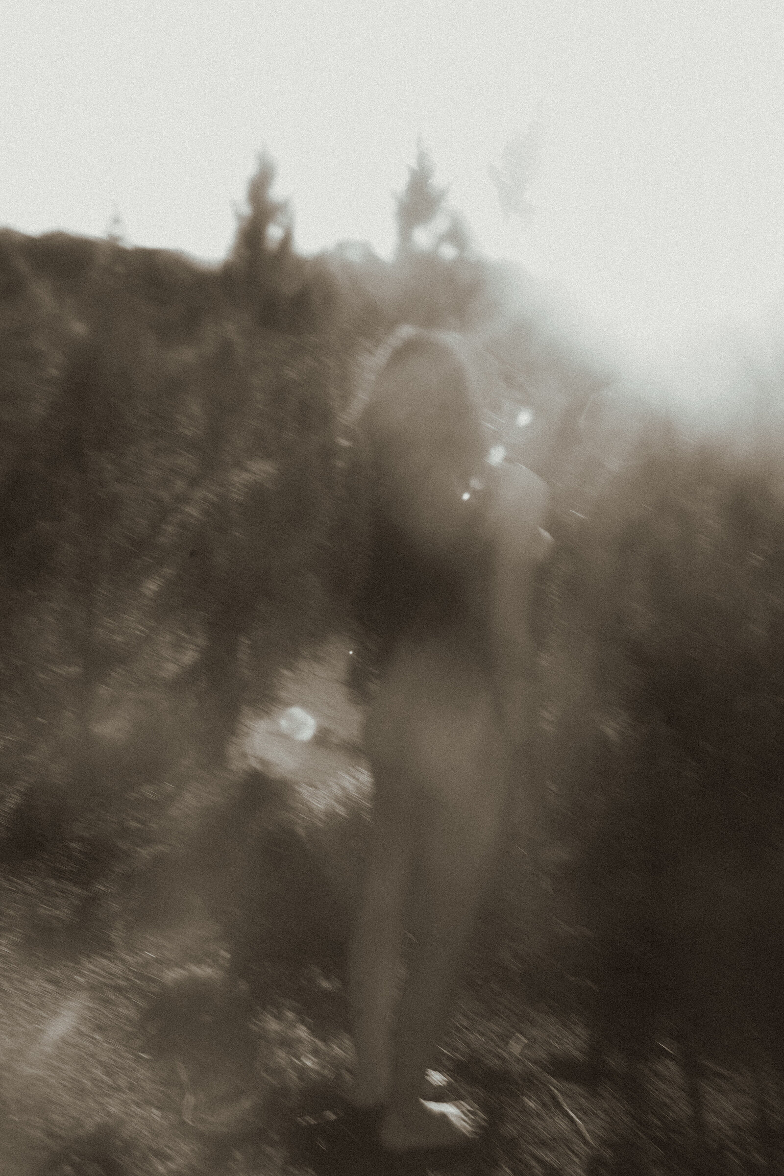 sunny meraki wild woman kreative Fotografie ausbildung