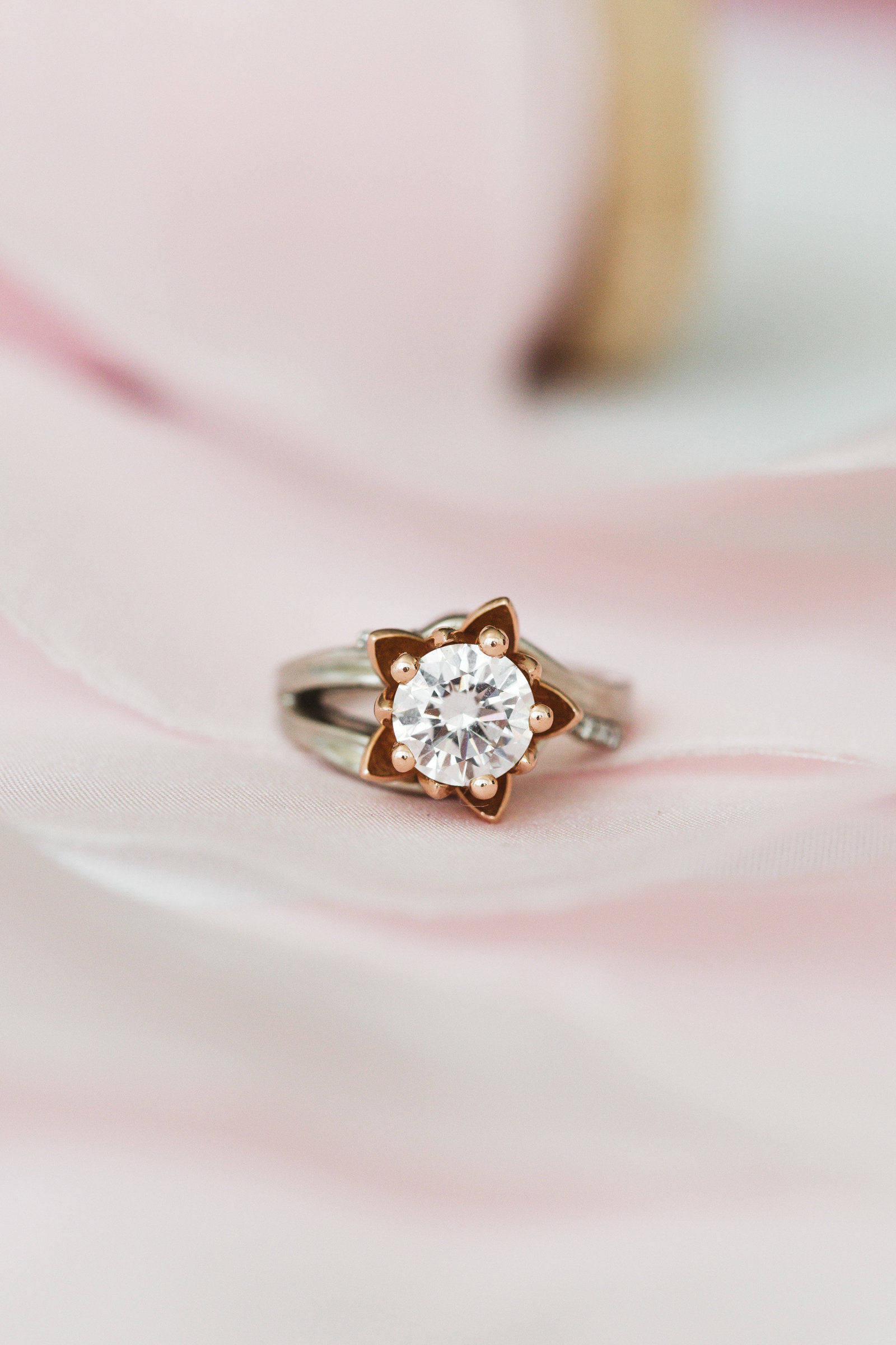 Zoe Larkin Photography | Info, pricing, images, FAQ
