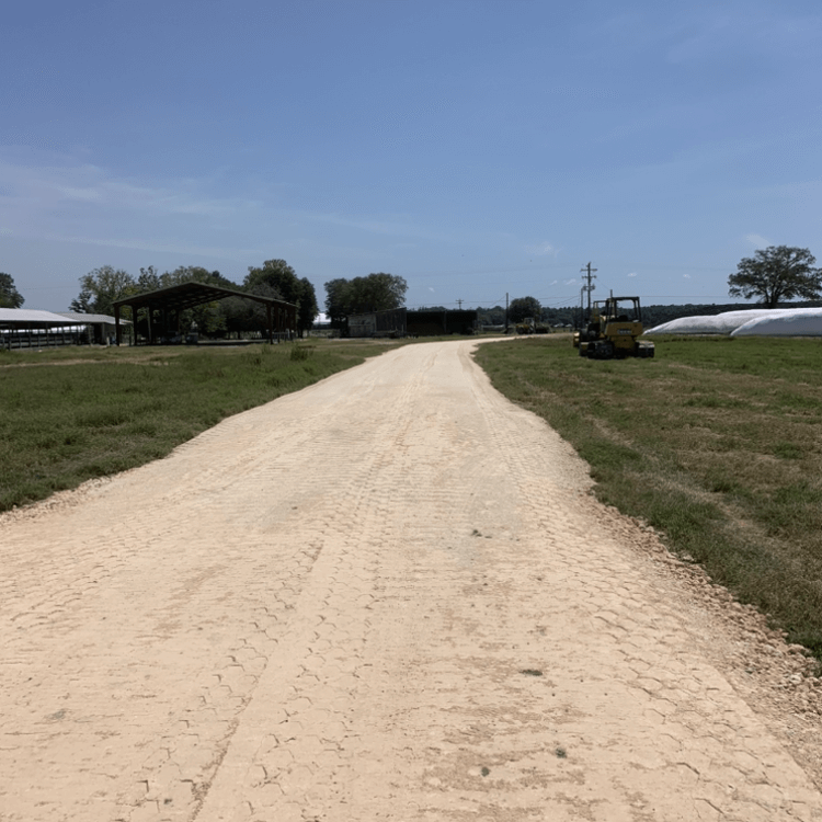 Photo of road clearing project.
