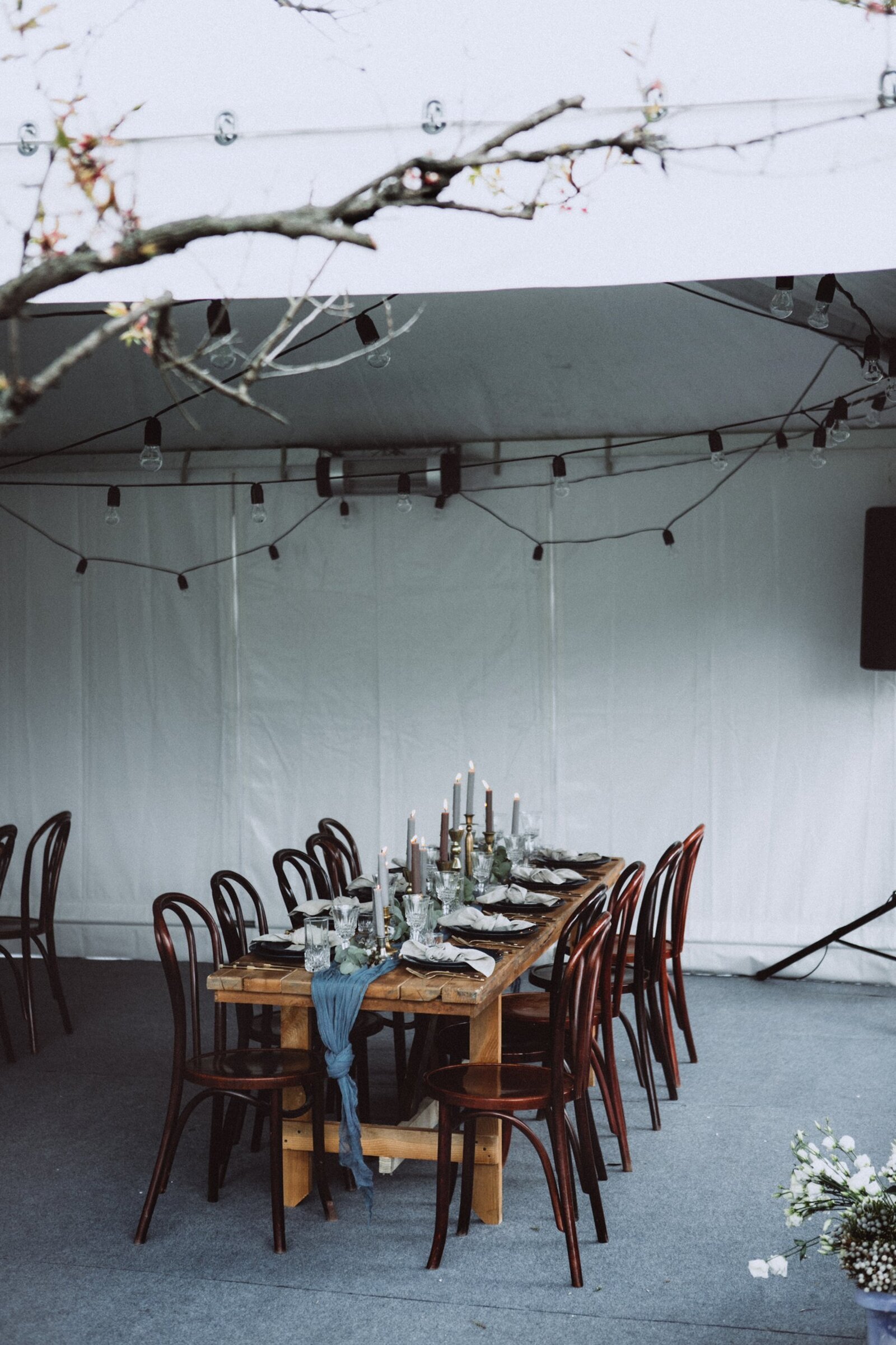 San Diego rustic wedding gallery