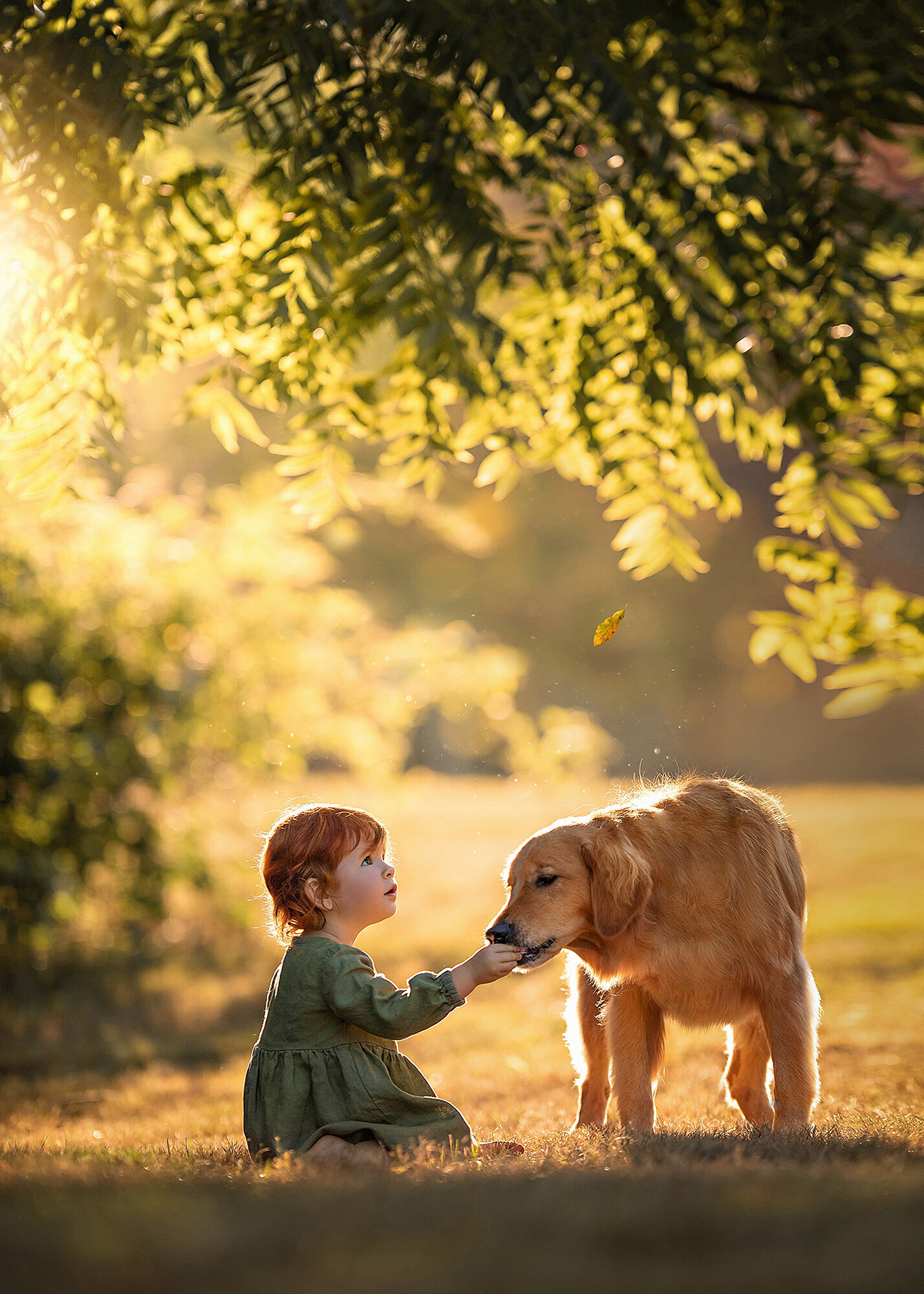 Girl feeding her dog photos in Norfolk by Iya Estrellado Photography