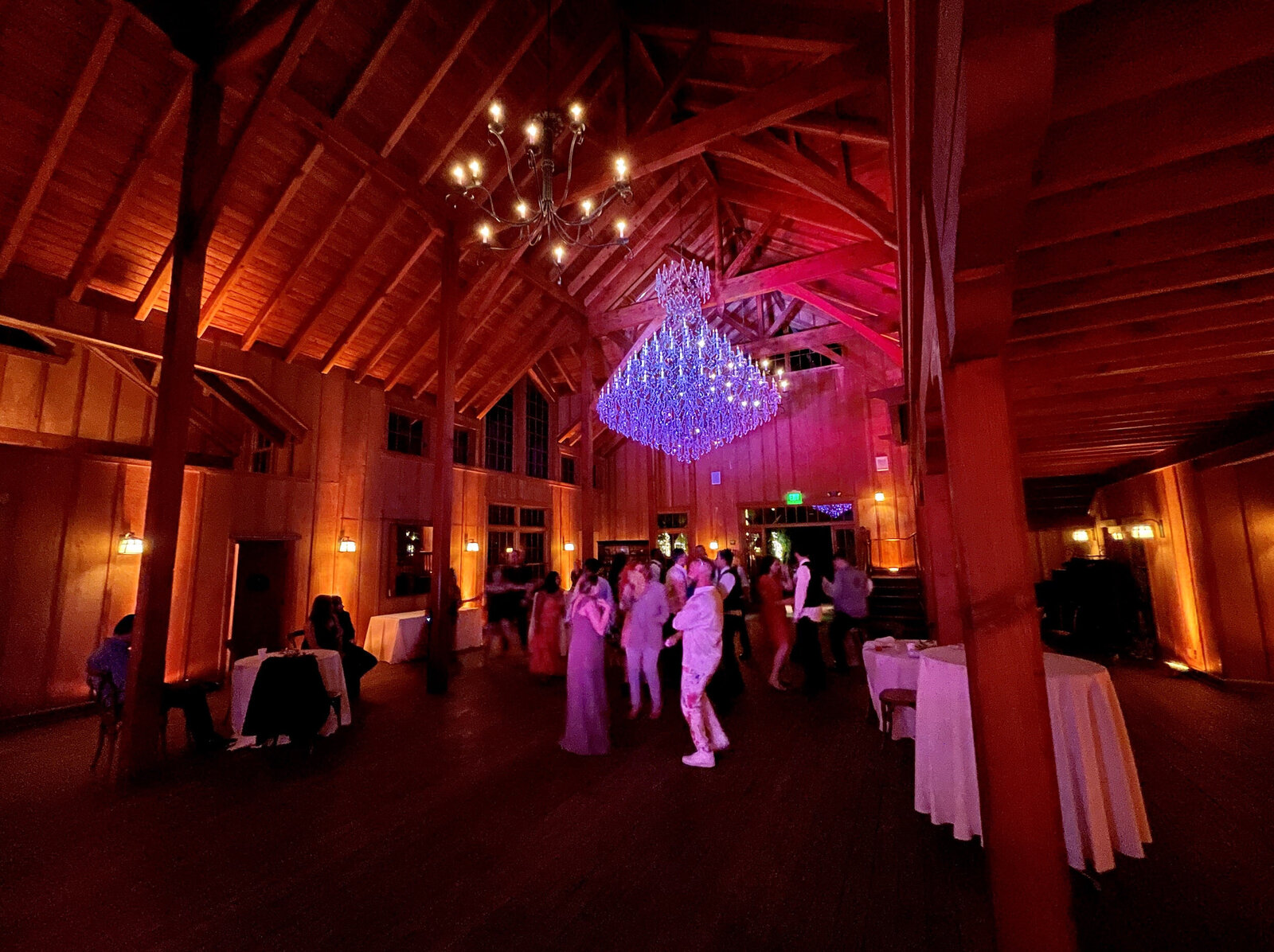Dance Lighting + Amber Uplighting