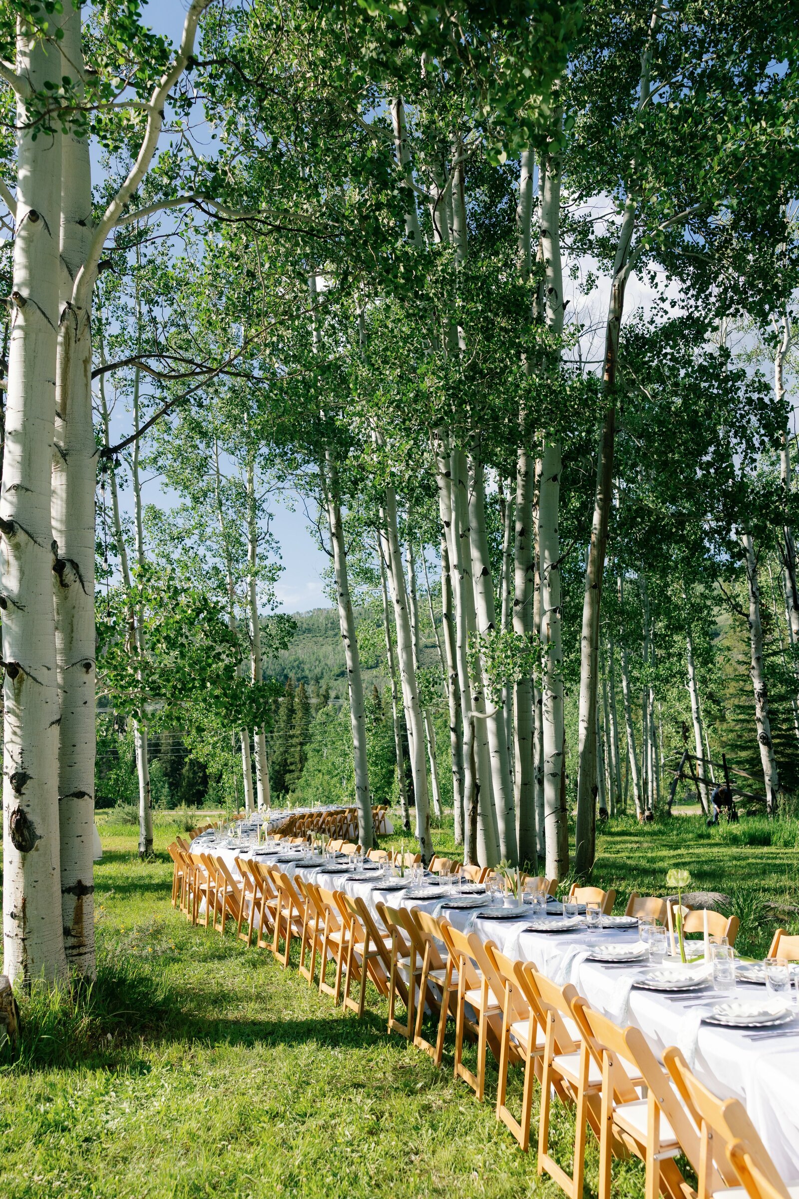 cassidymichael_coloradowedding_stillsbytrinity-55