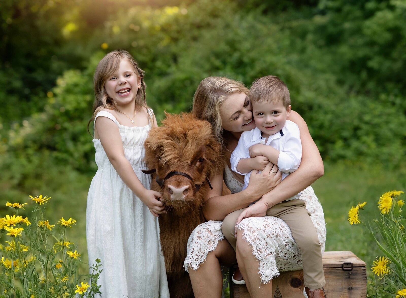 Mom kissing toddler boy with sister holding baby highland cow and laughing. Baby cow minis hosted by Atlanta children's photographer.